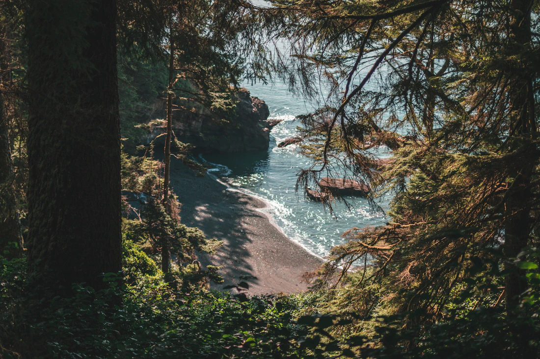 Rocky Juan de Fuca shoreline beneath coastal forest on Vancouver Island