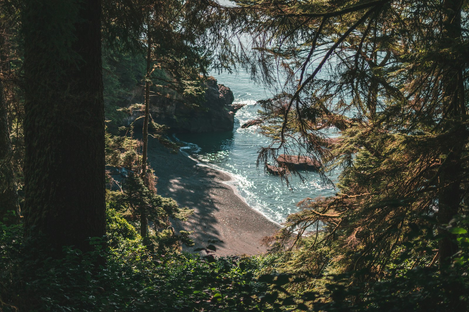 Pacific Rim National Park Reserve