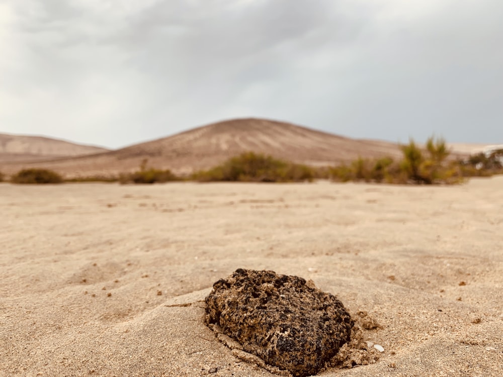 a rock in the middle of a sandy area