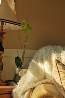 A soft-focus photo of a cozy, sunlit room with a comfy chair and a small plant, evoking calm and warmth.