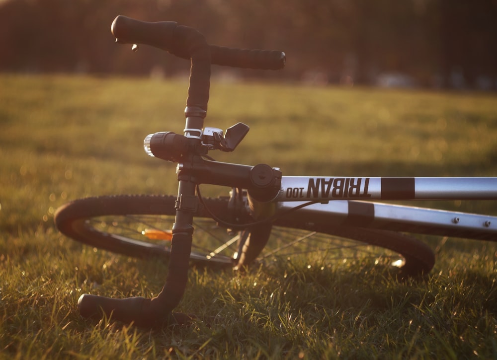 Bicicleta negra y gris sobre hierba