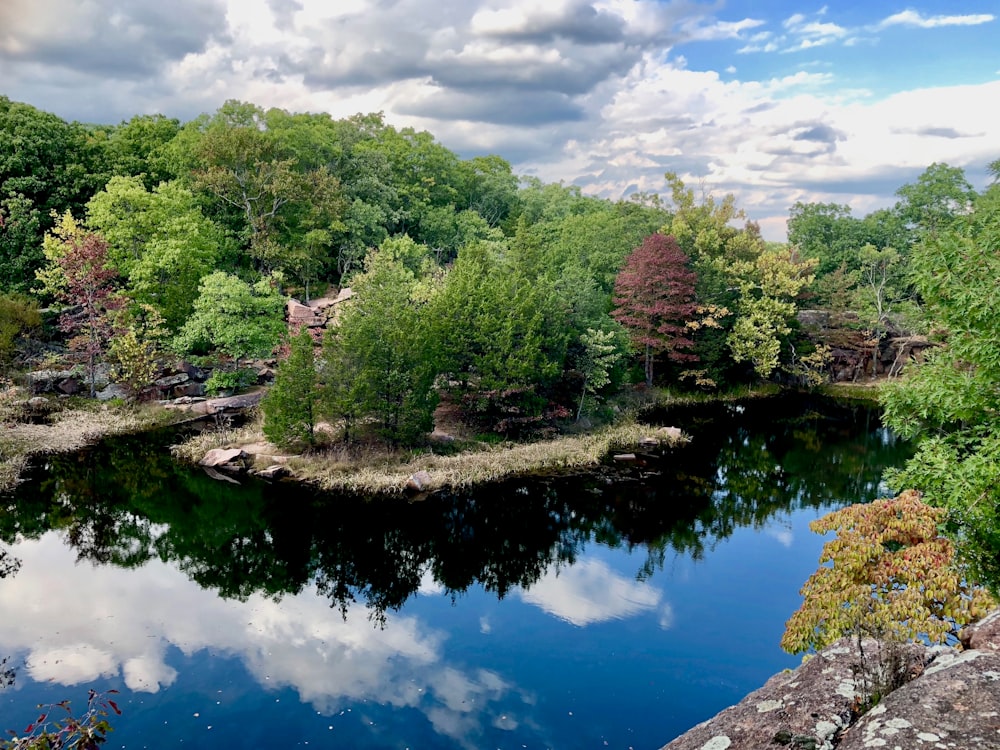 body of water surrounded by trees