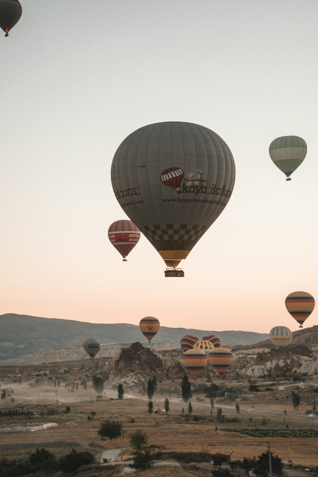 multicolored hot air balloon above green field during daytime