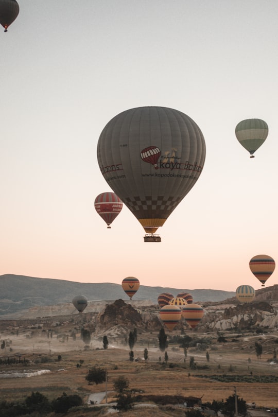 multicolored hot air balloon above green field during daytime in Cappadocia Turkey Turkey
