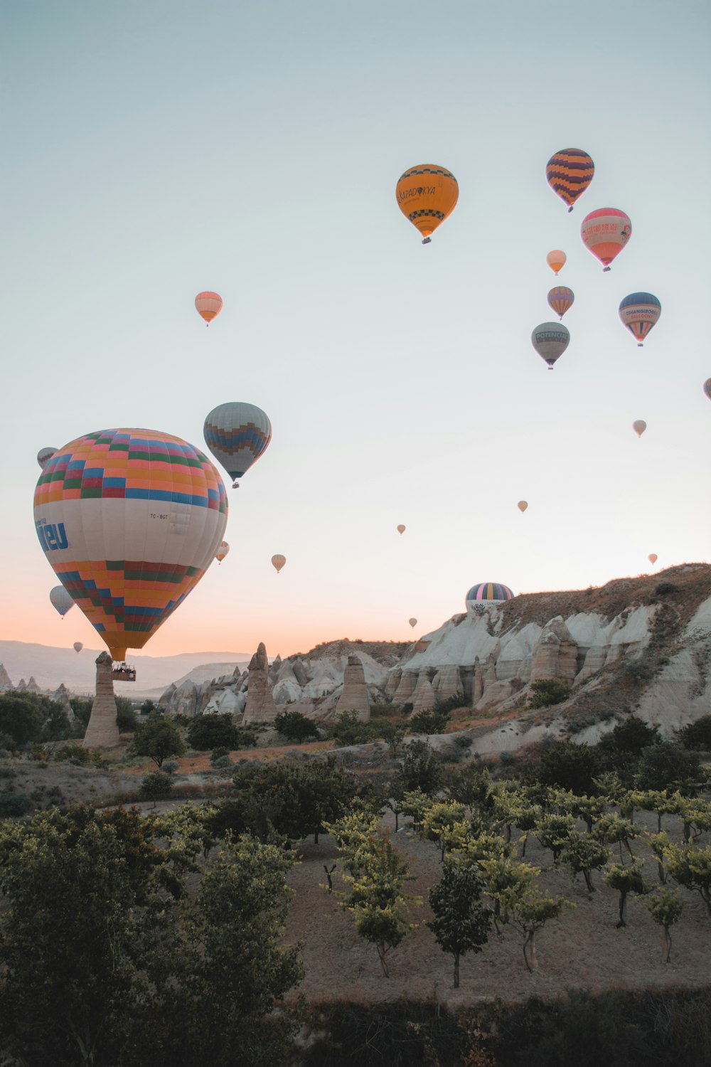 hot air balloons