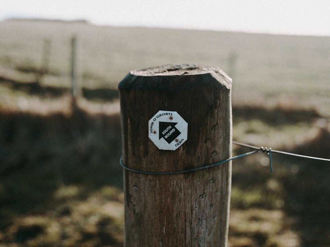 closeup photography of brown wooden stand