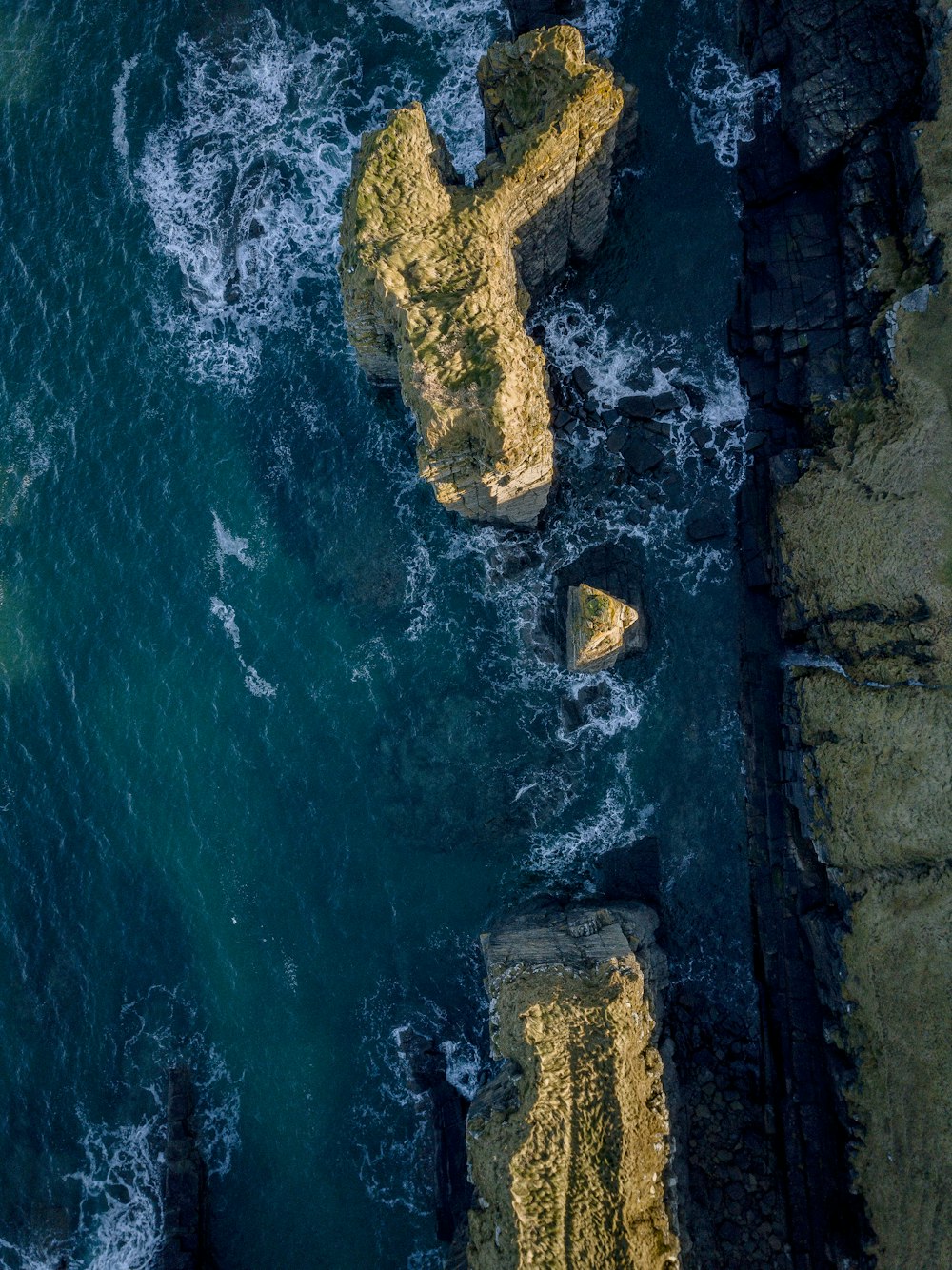 aerial photo of shore