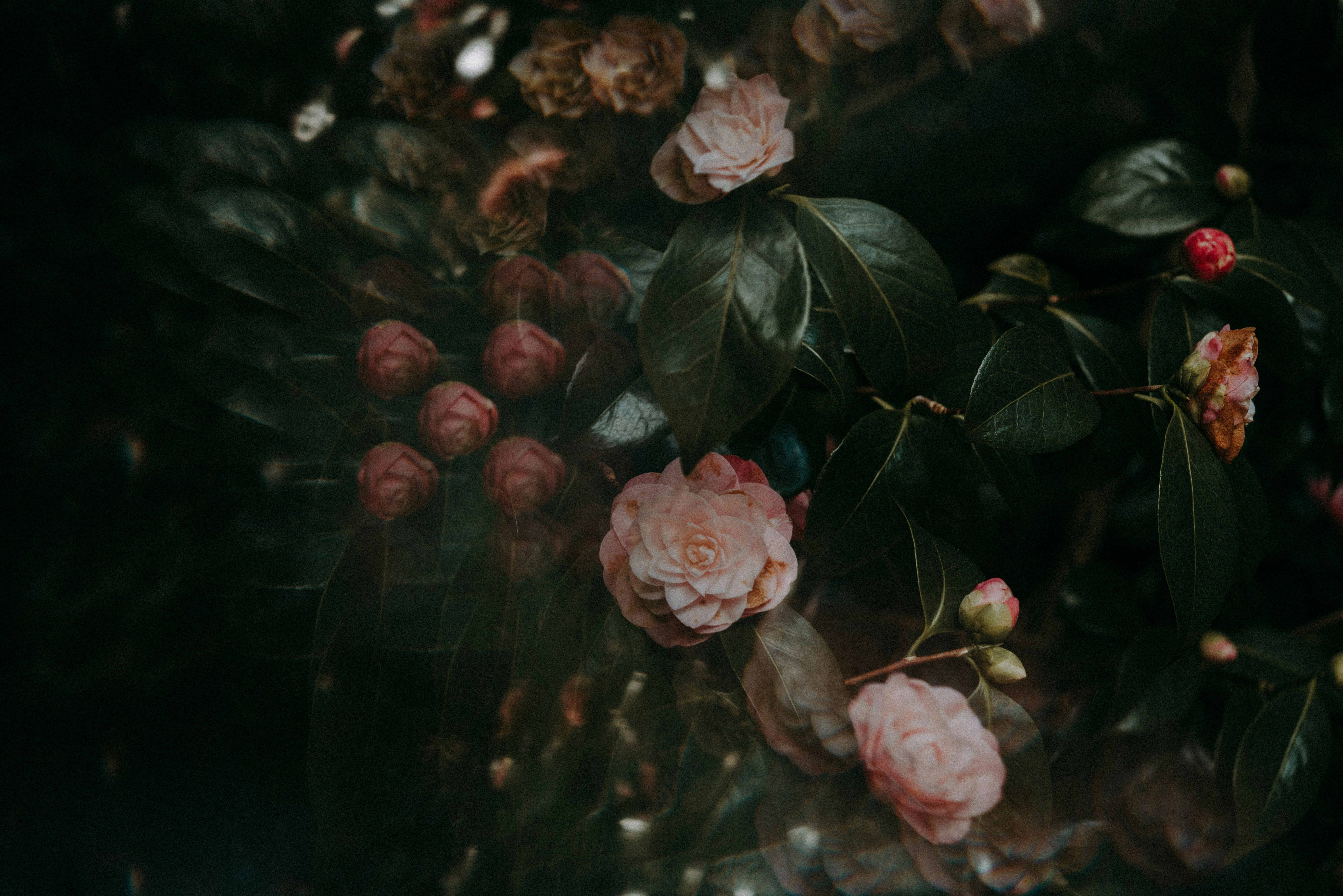 Photo by anniespratt