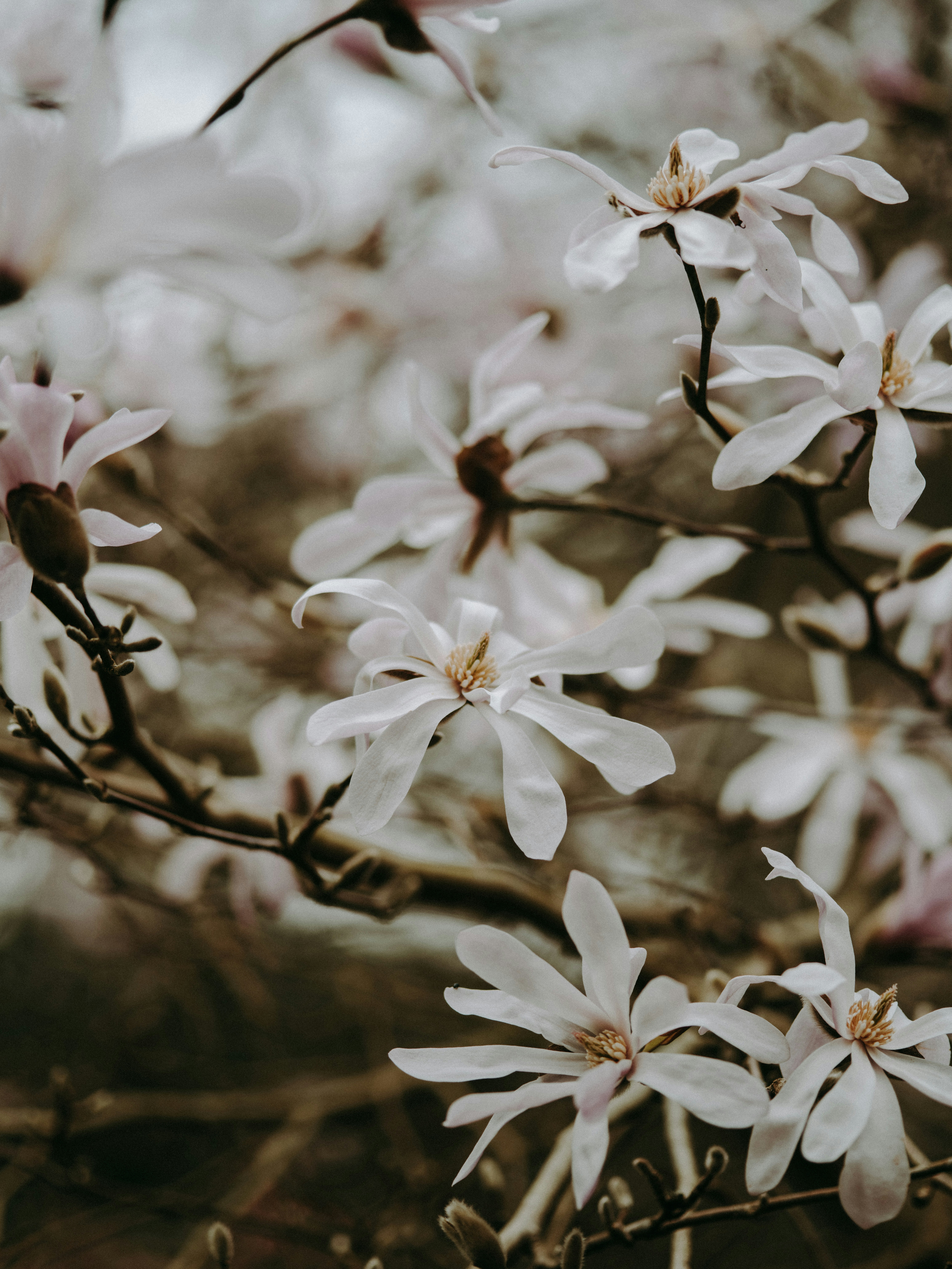 Photo by anniespratt