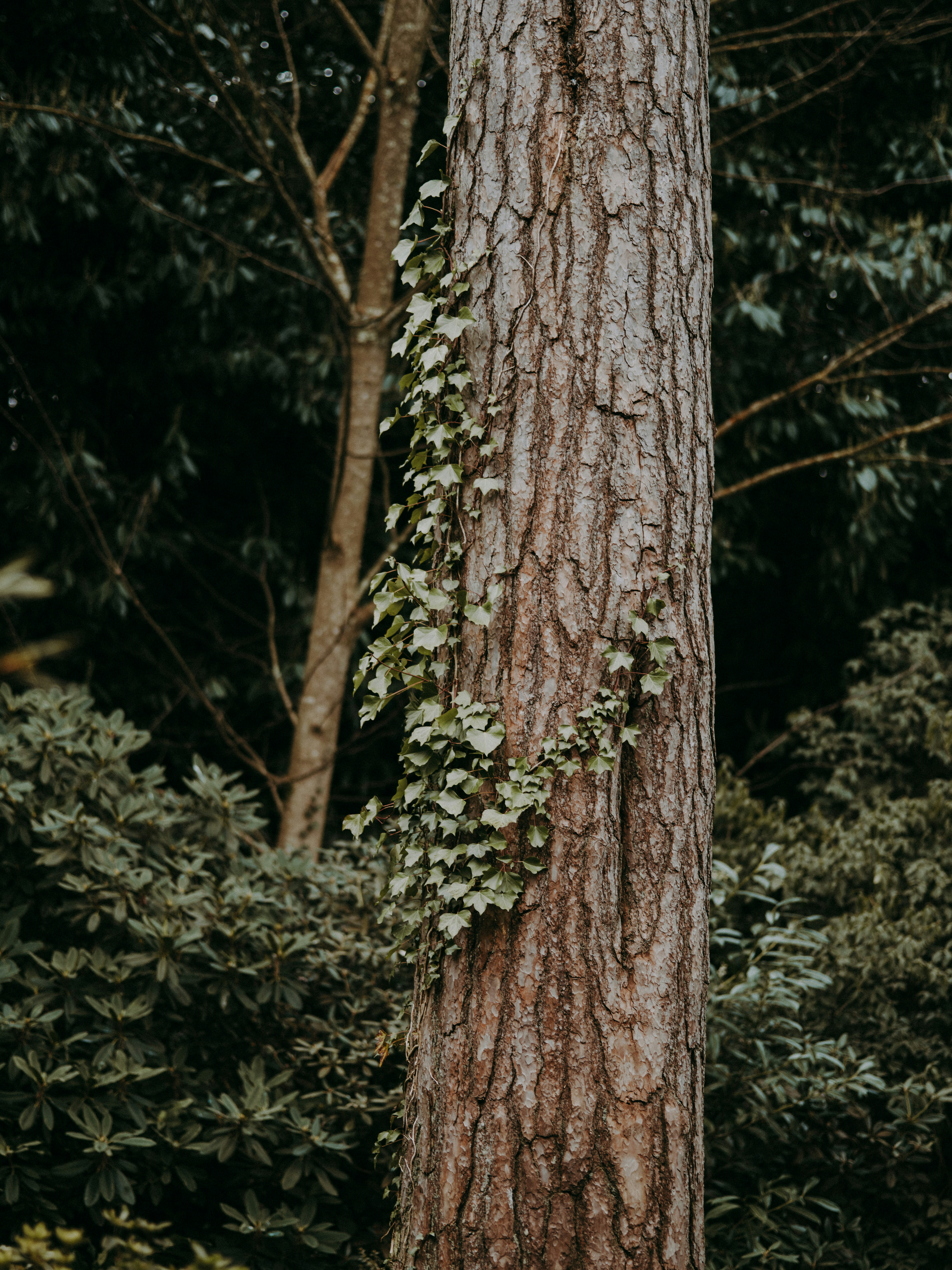 Photo by anniespratt