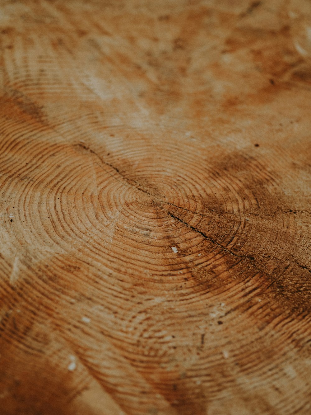 a piece of wood that has been cut in half