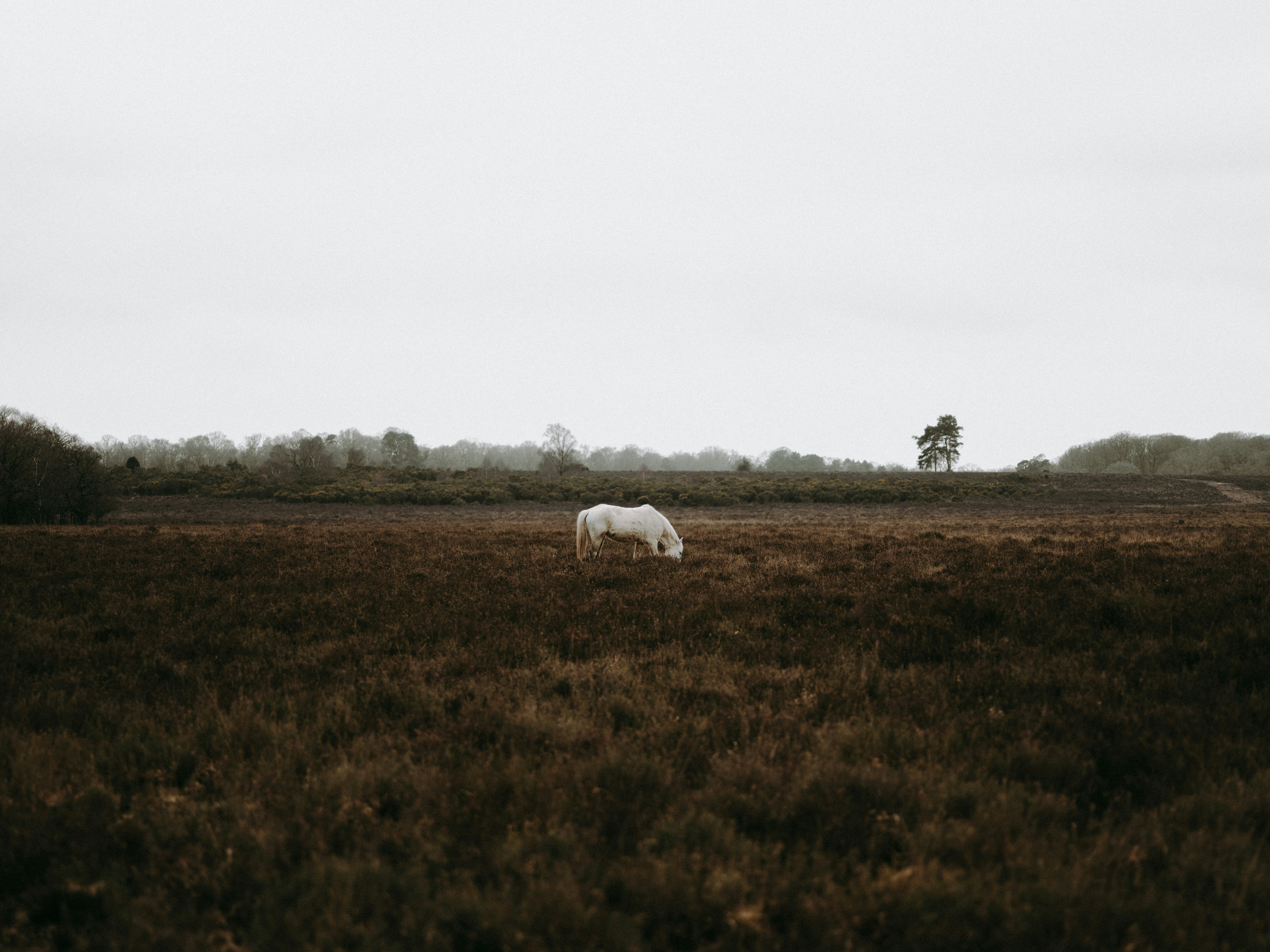 Photo by anniespratt