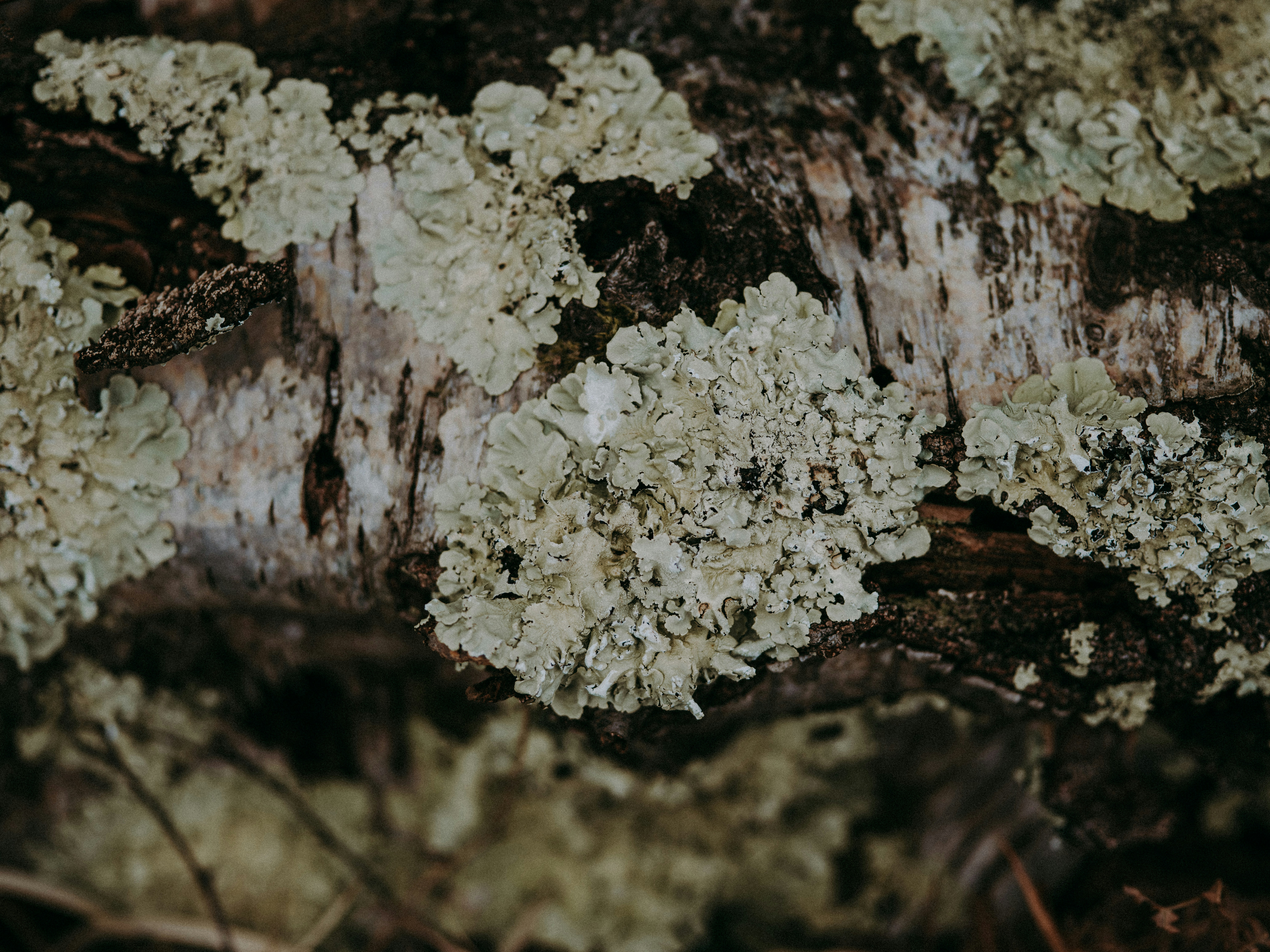 Photo by anniespratt