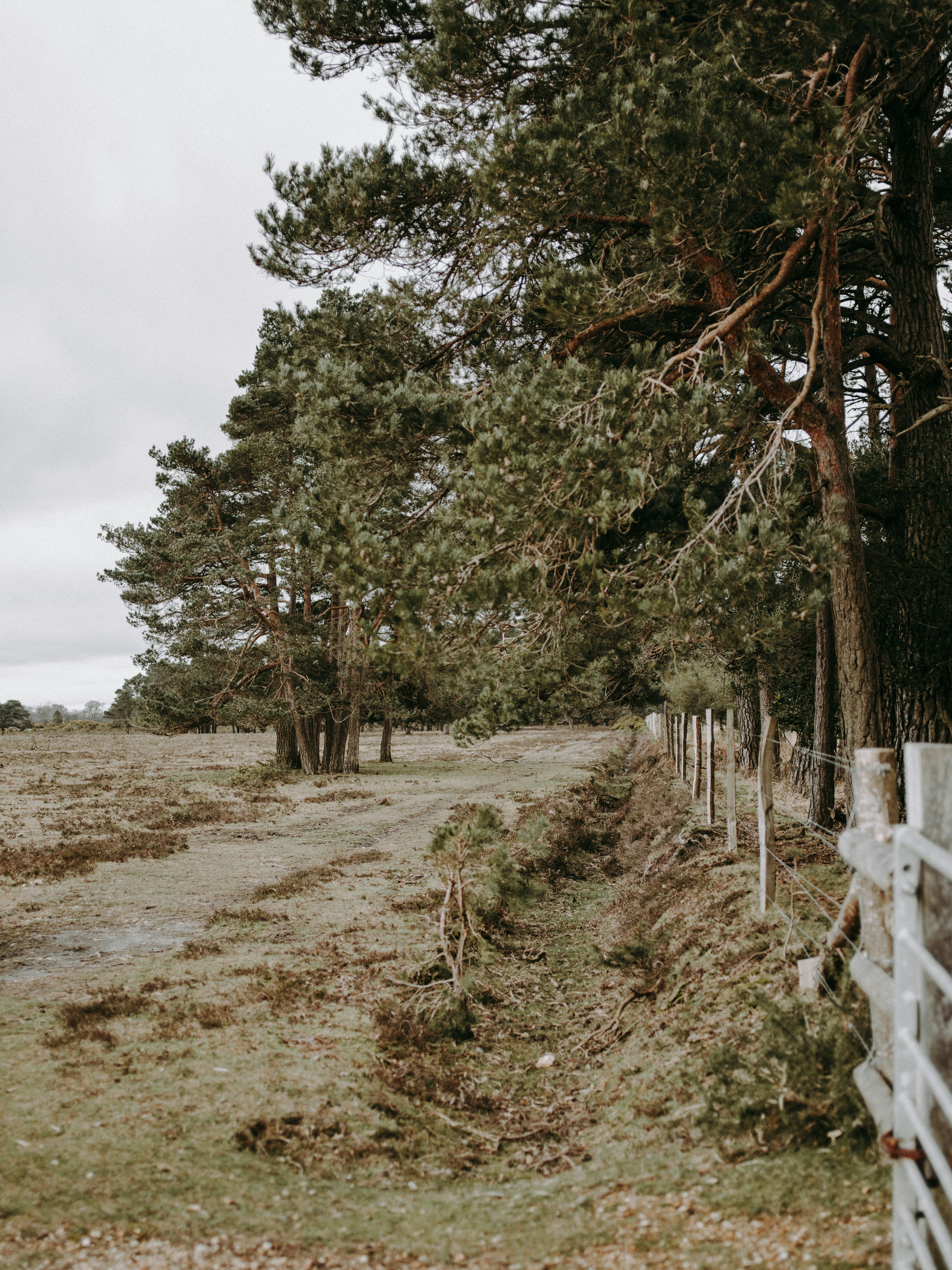 Photo by anniespratt