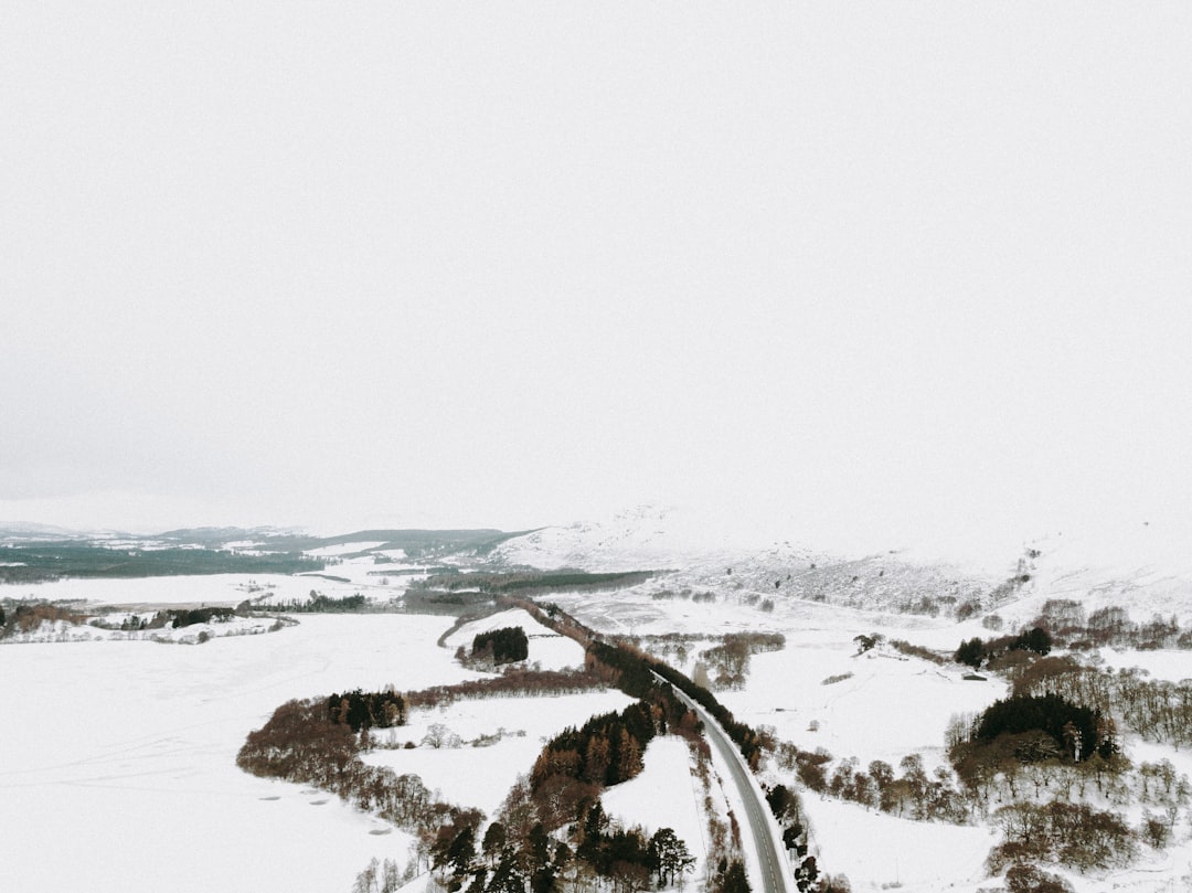 aerial photography of roadway