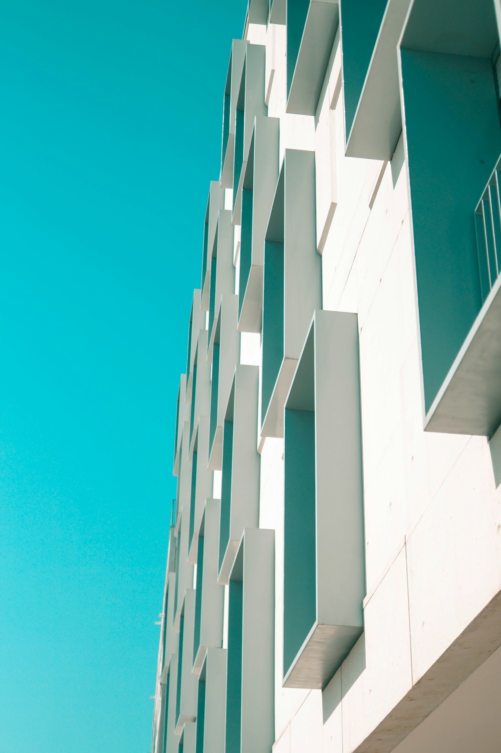 white and green building