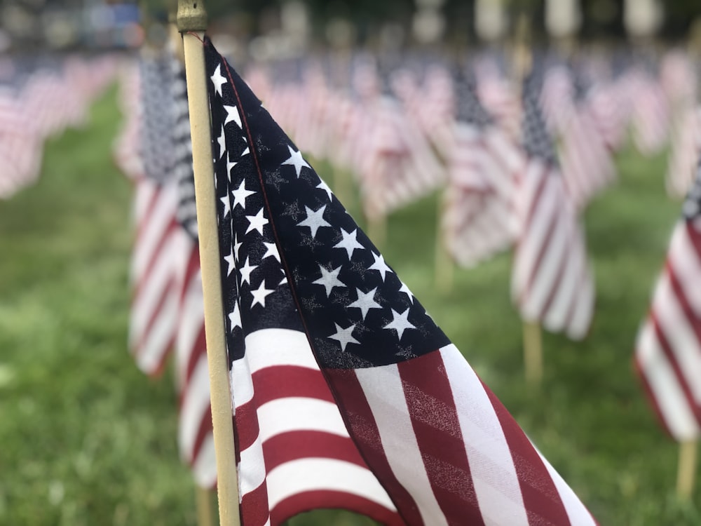 macro photography of U.S.A flag lot waving