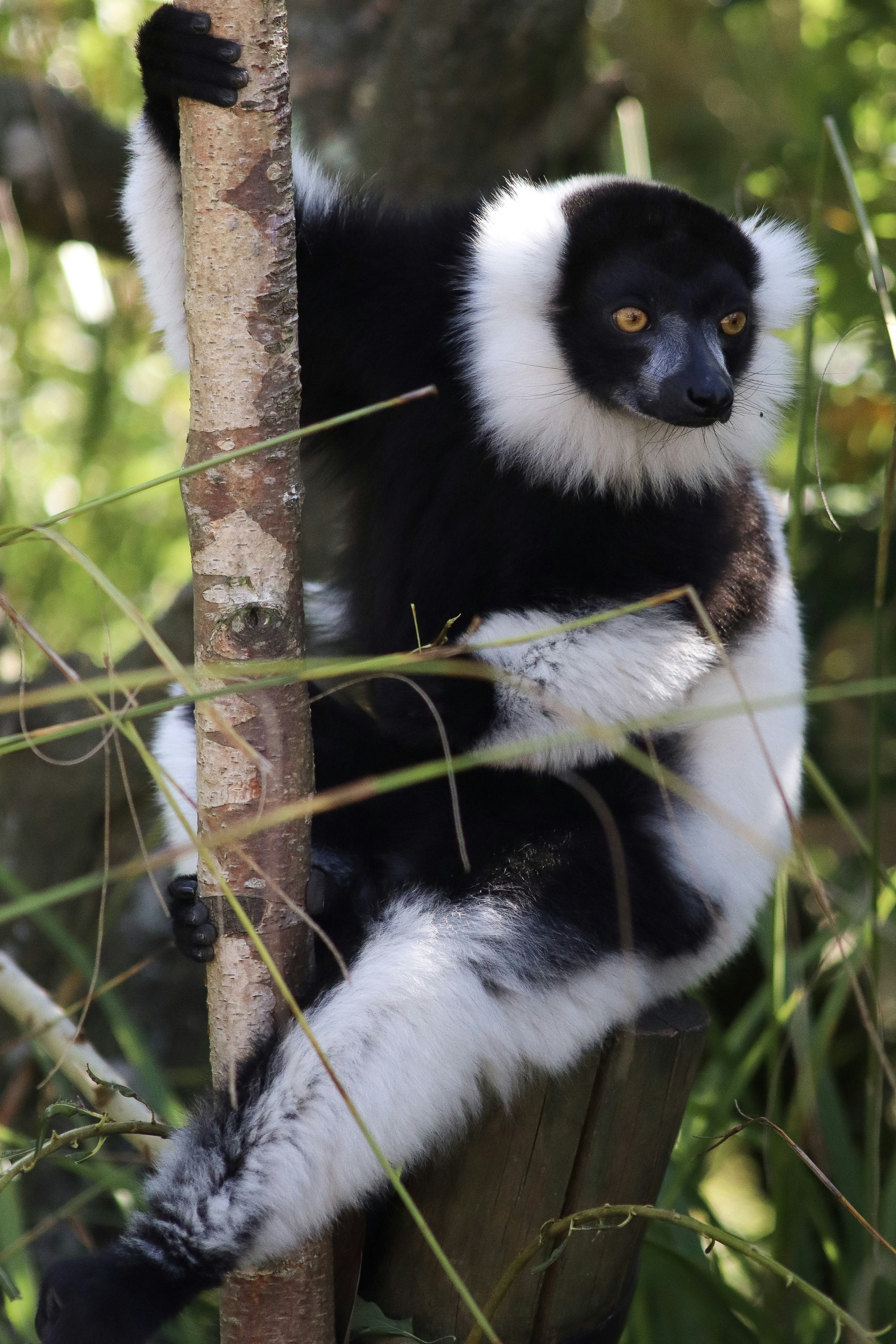 Photo by rach_henning