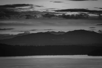 Moody landscape with dramatic clouds over a calm lake, rendered in grayscale.