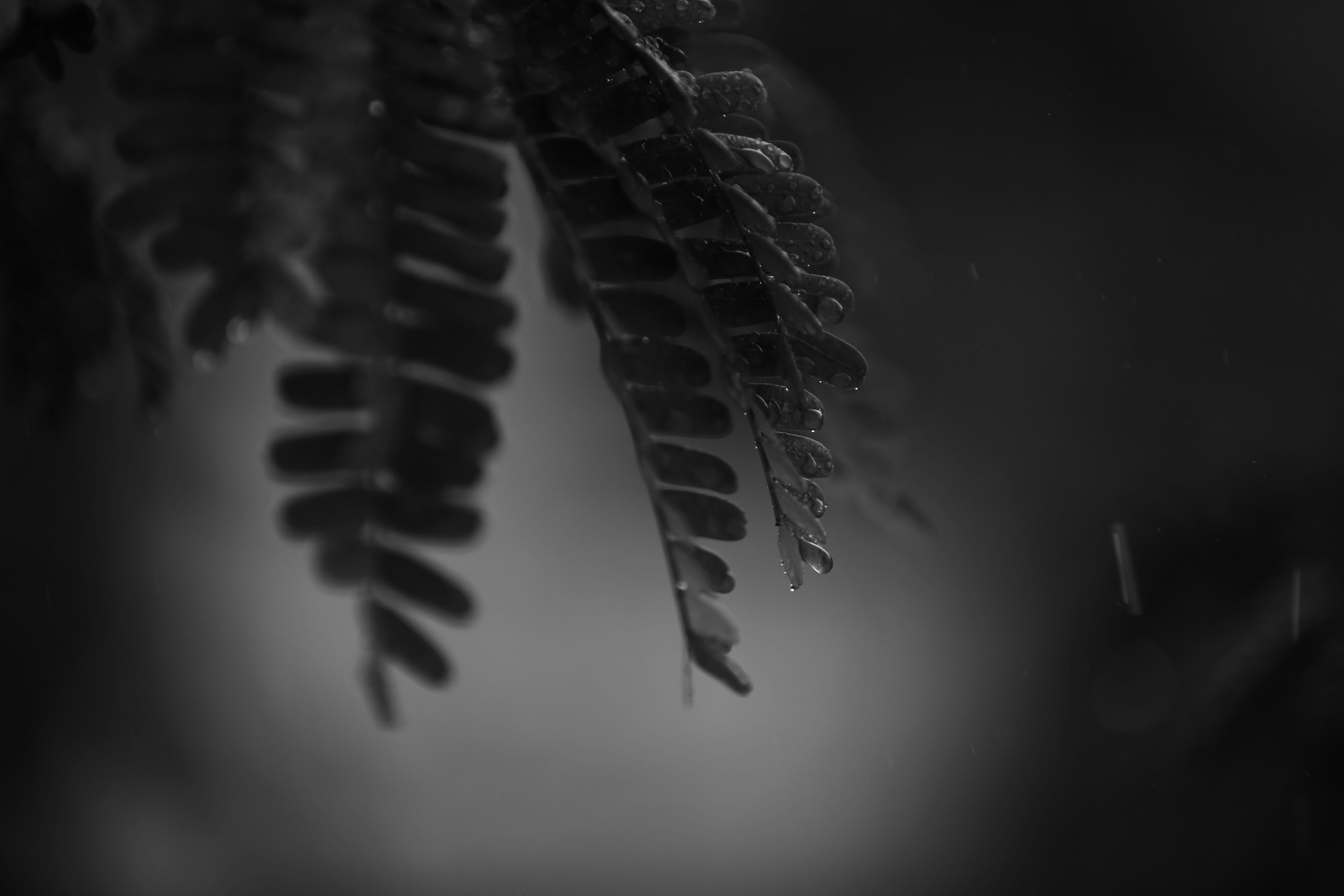 Photo by sujeethpotla