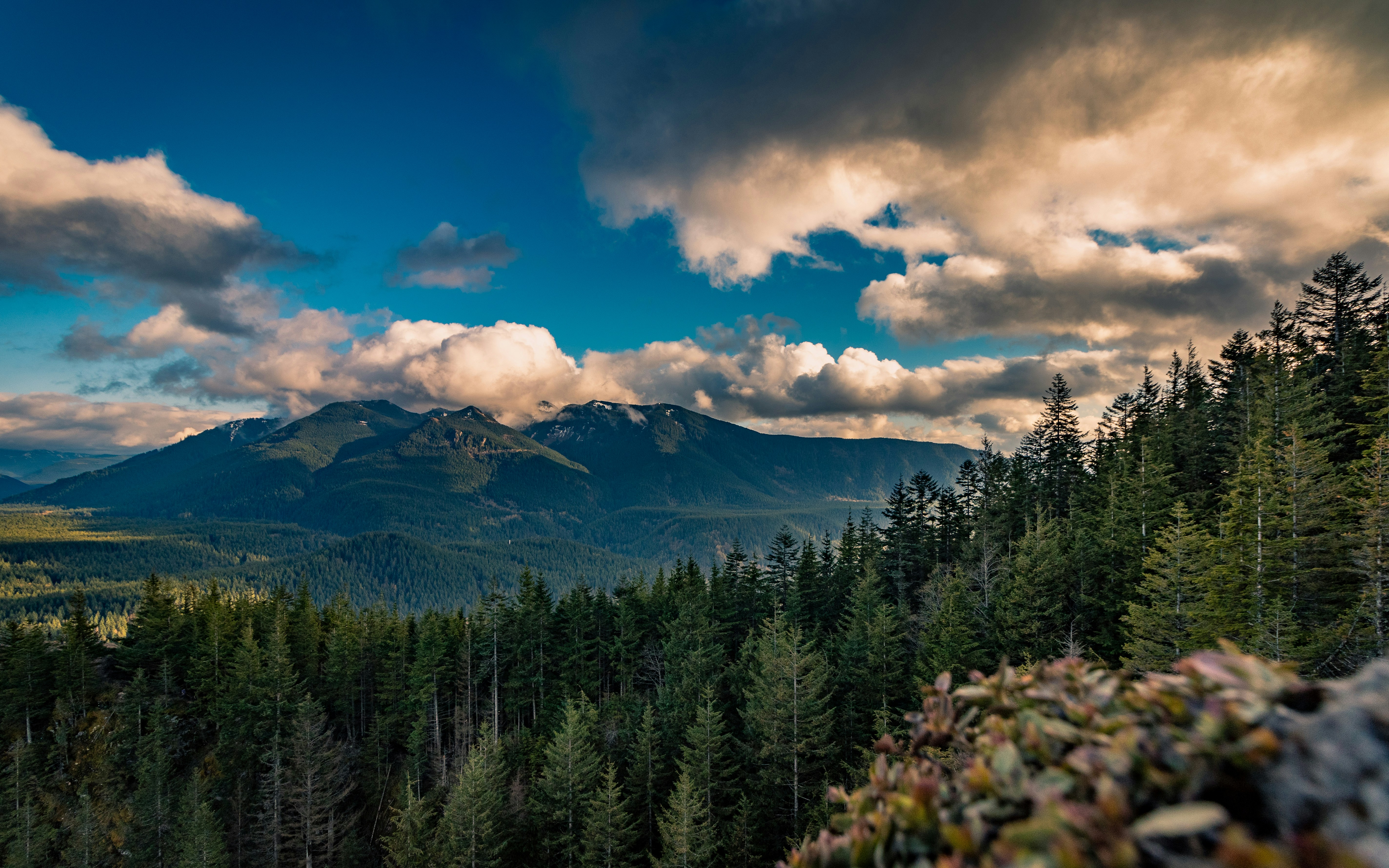 Photo by devin_photography