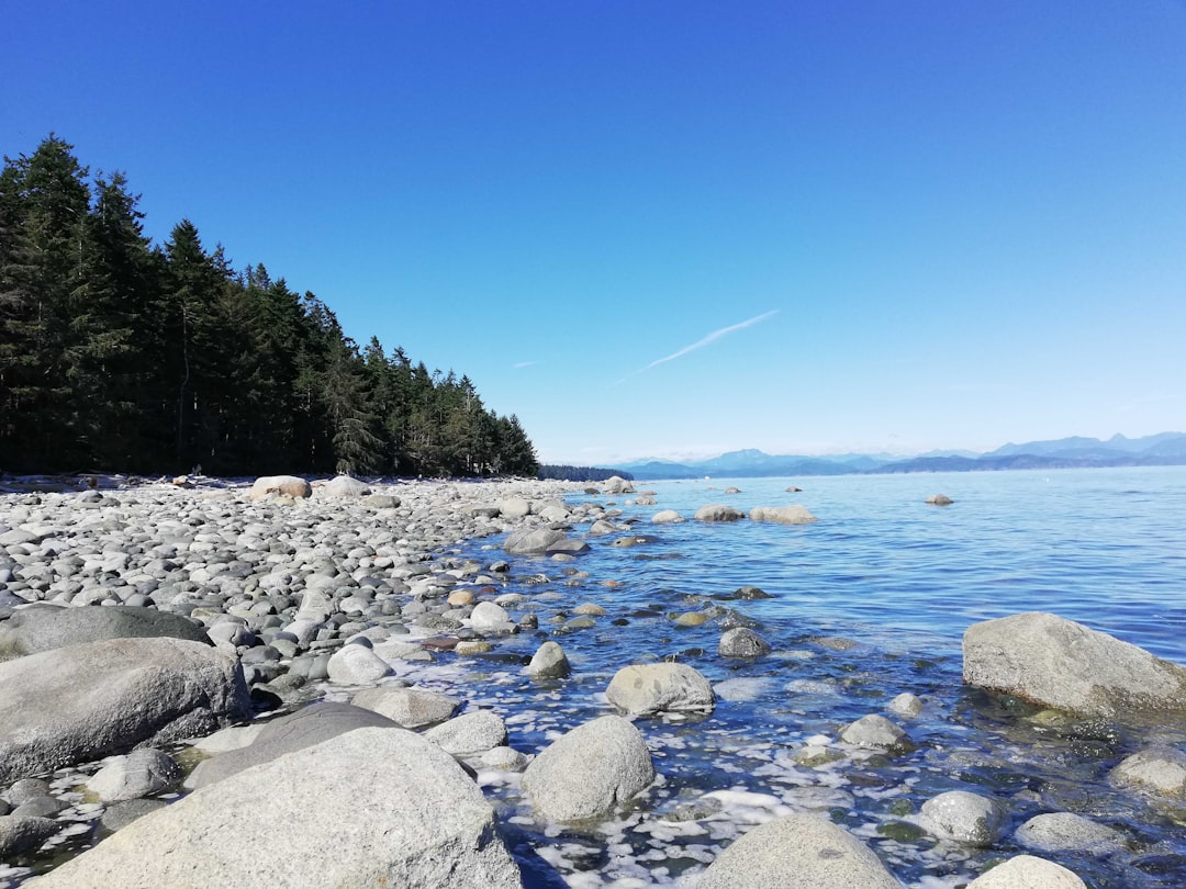 crystal blue river beside stones