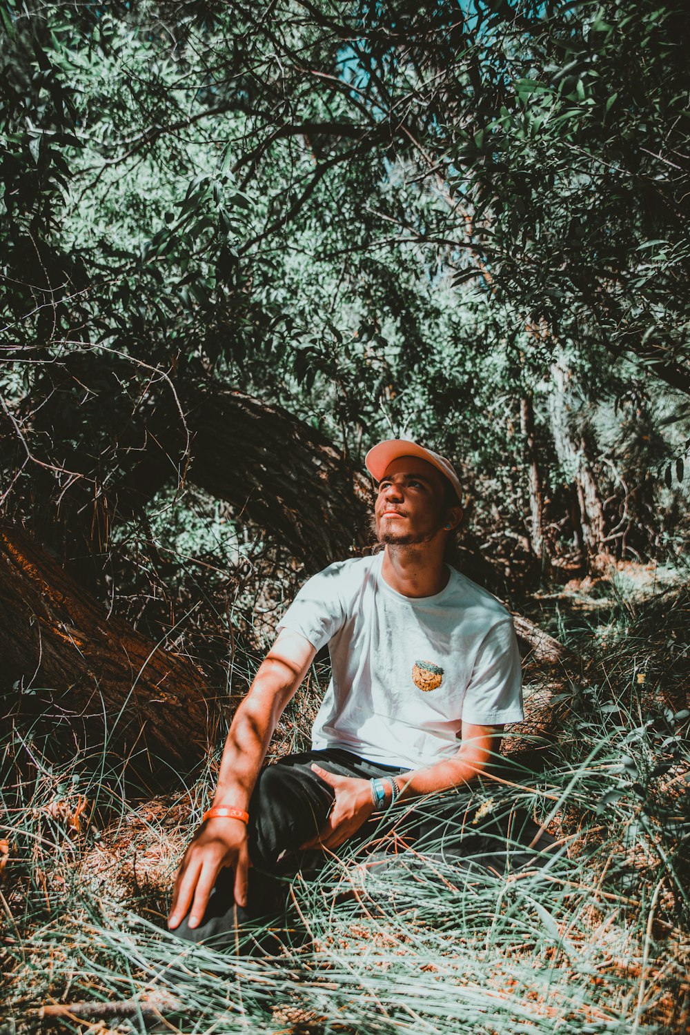 man sitting on ground under tree