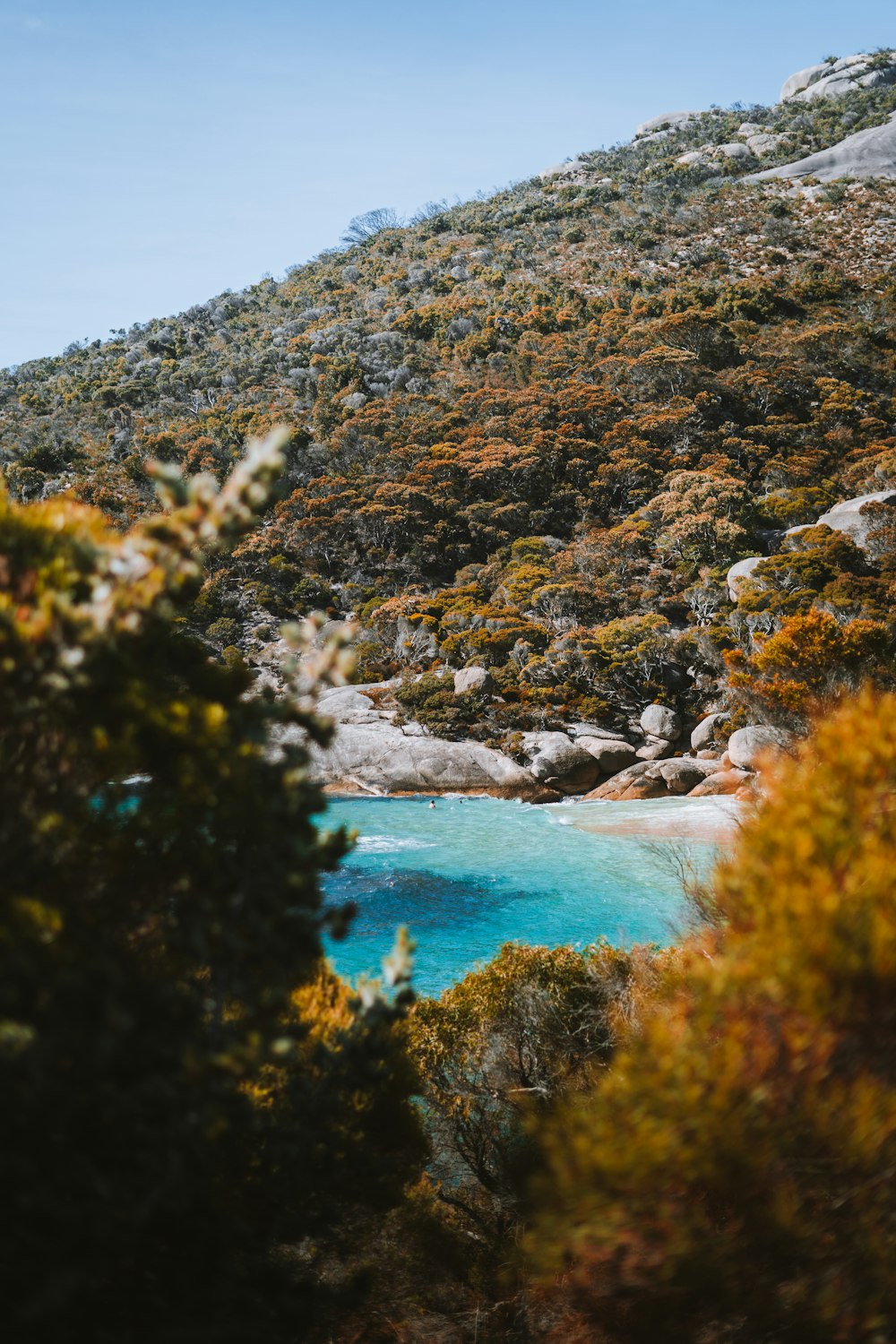 a blue body of water surrounded by trees