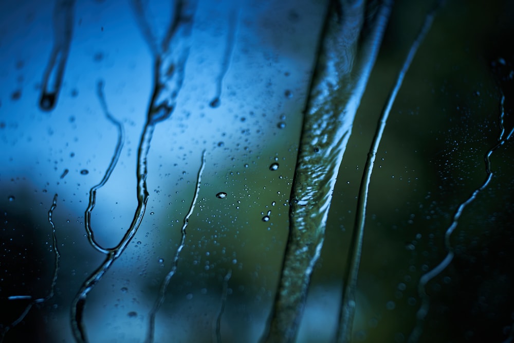 macro photography of water drops