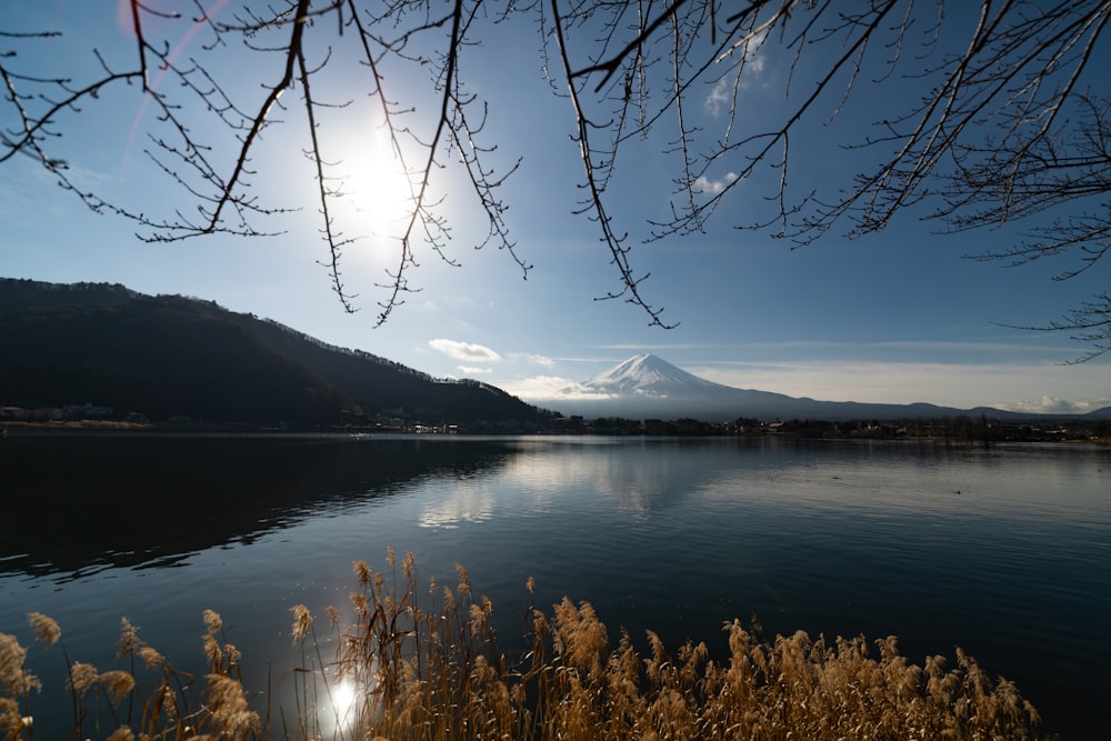 body of water under clear blue sky