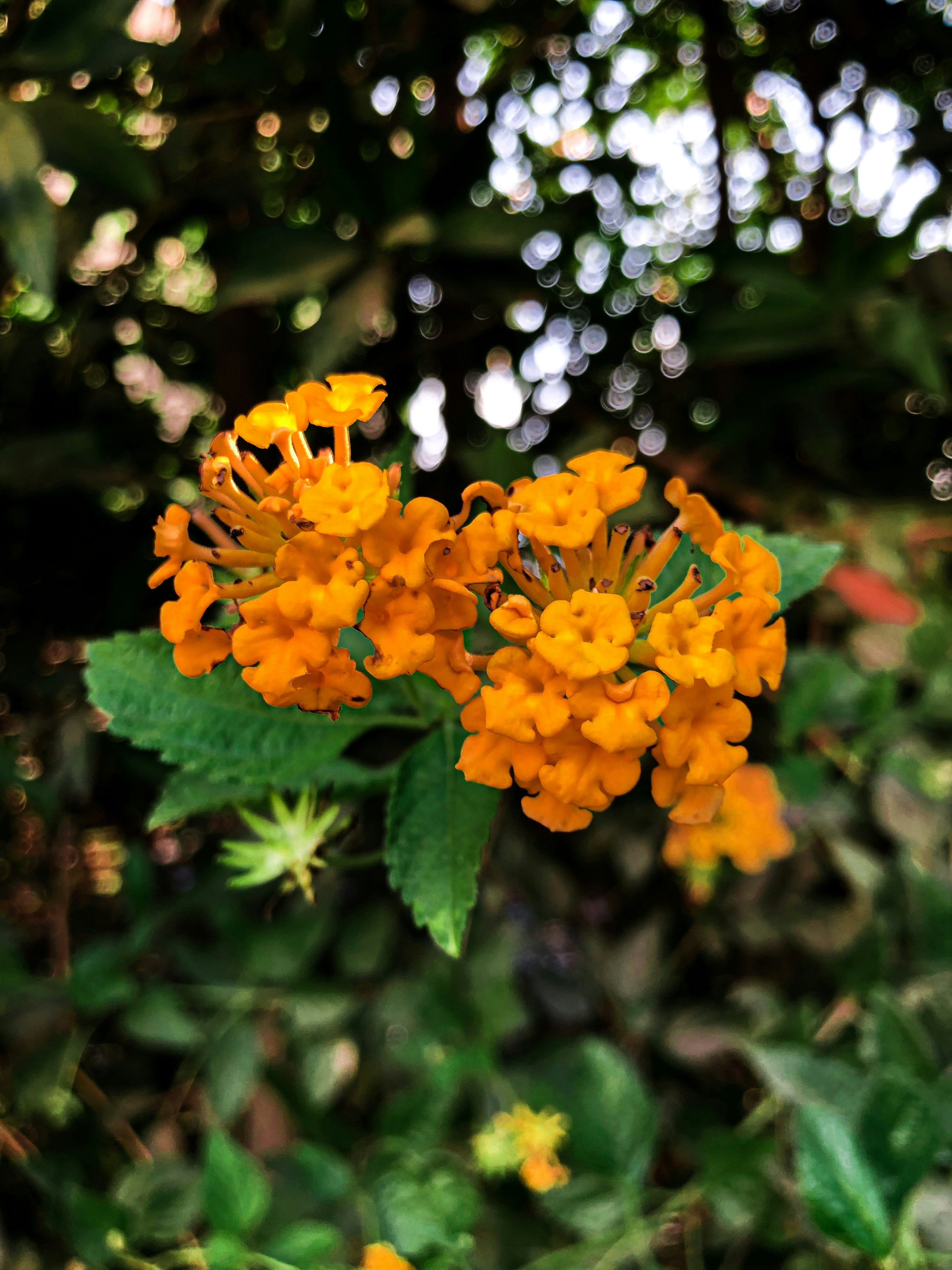 Photo by karenkhafagy