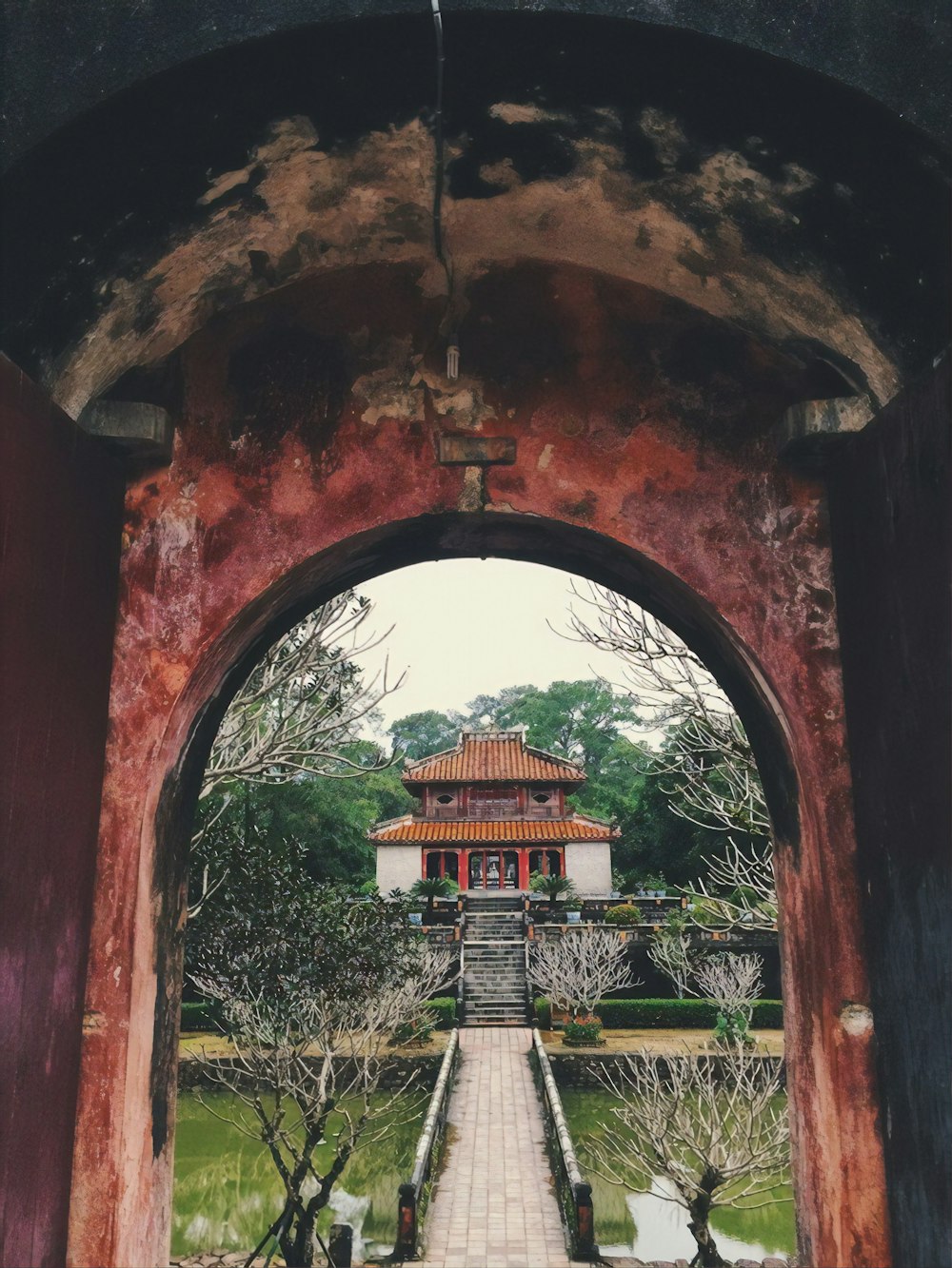 brown pagoda temple beside trees