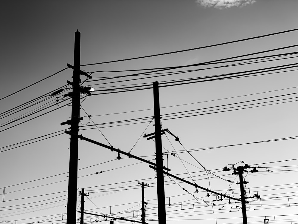 silhouette photo of transmission network
