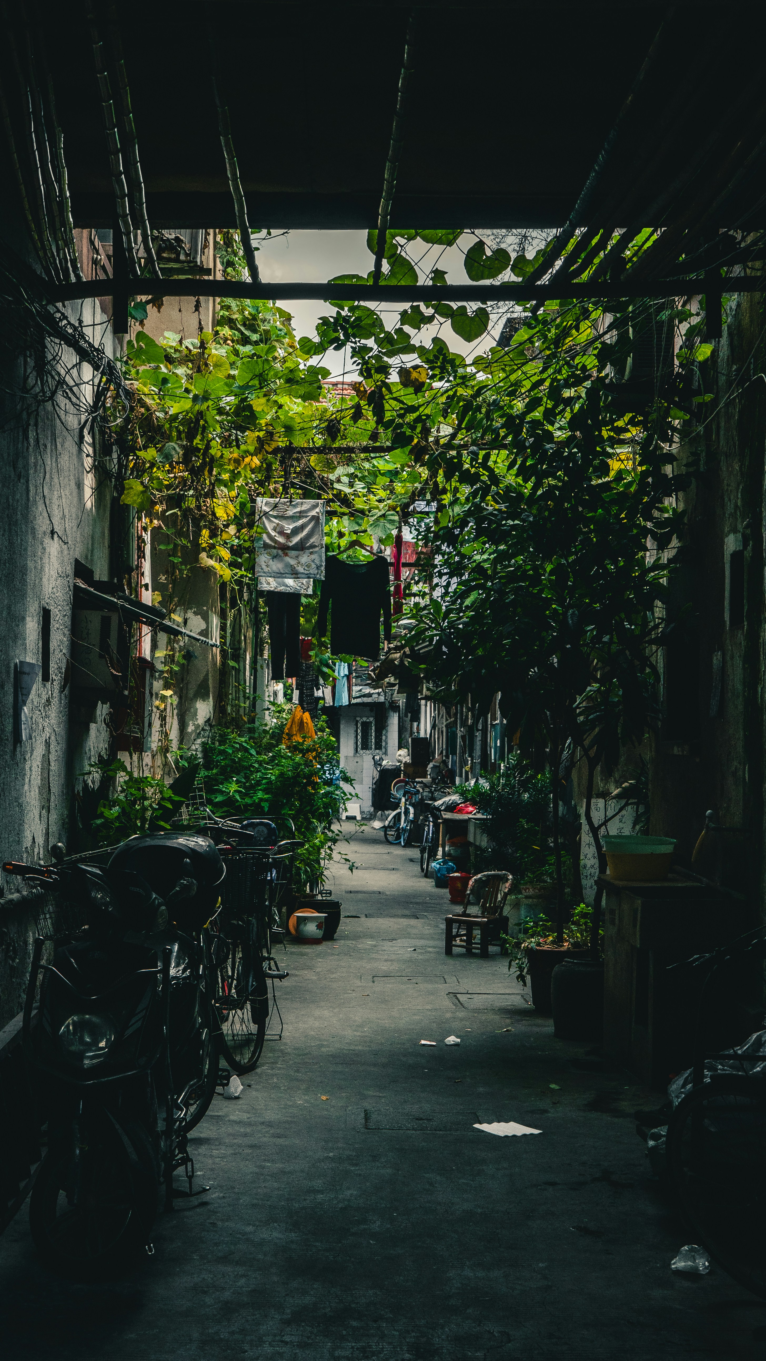 photo-1568781210416-55a25bec6652?ixlib=rb-4.0.3