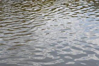 Rippling water surface with light reflections creating a textured pattern.