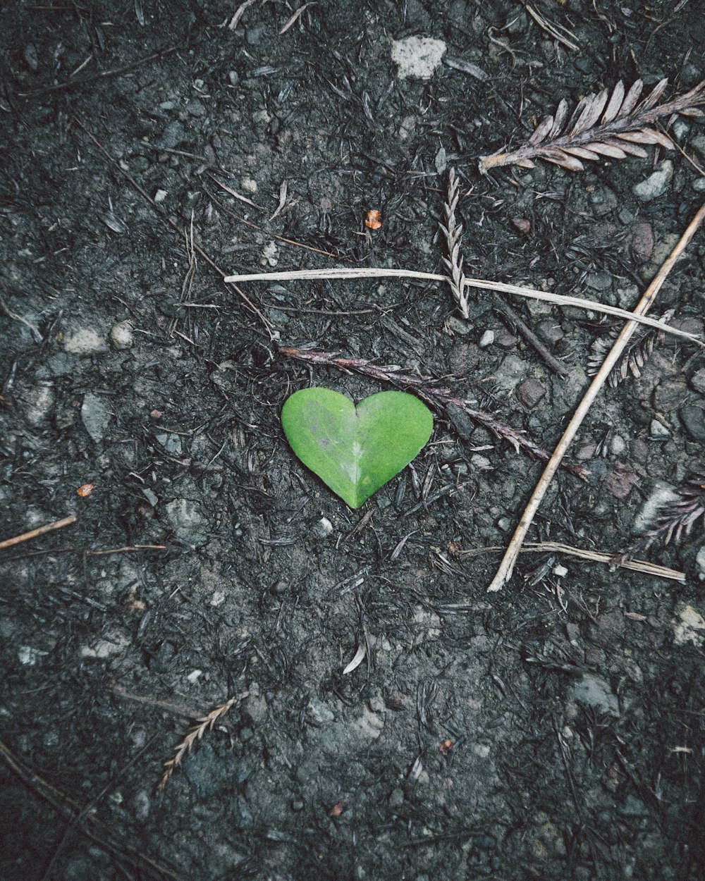 a green heart shaped object on the ground