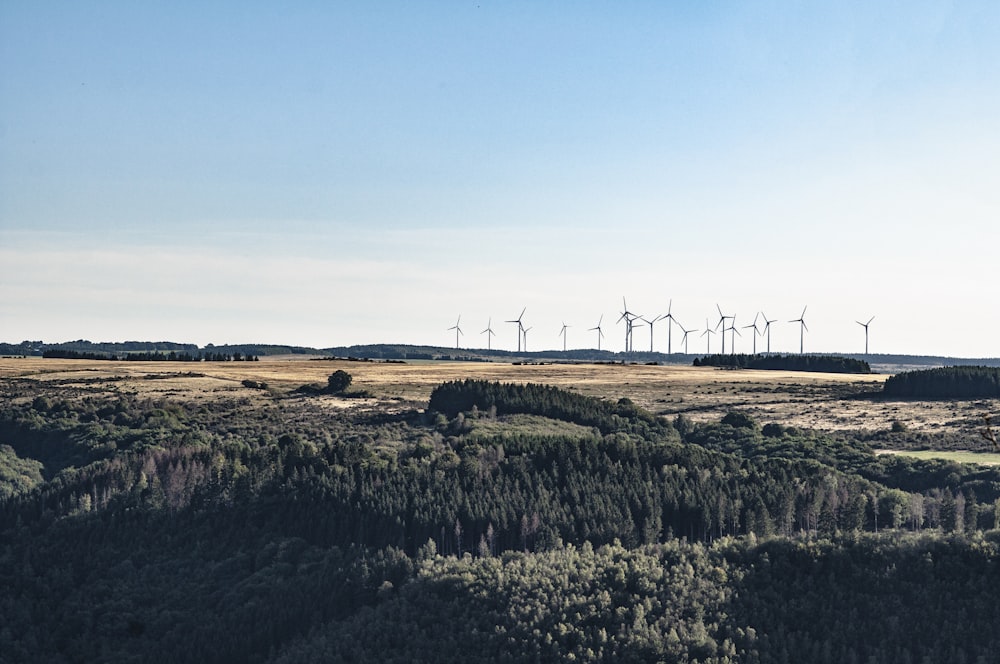 white windmill near green-leafed plants