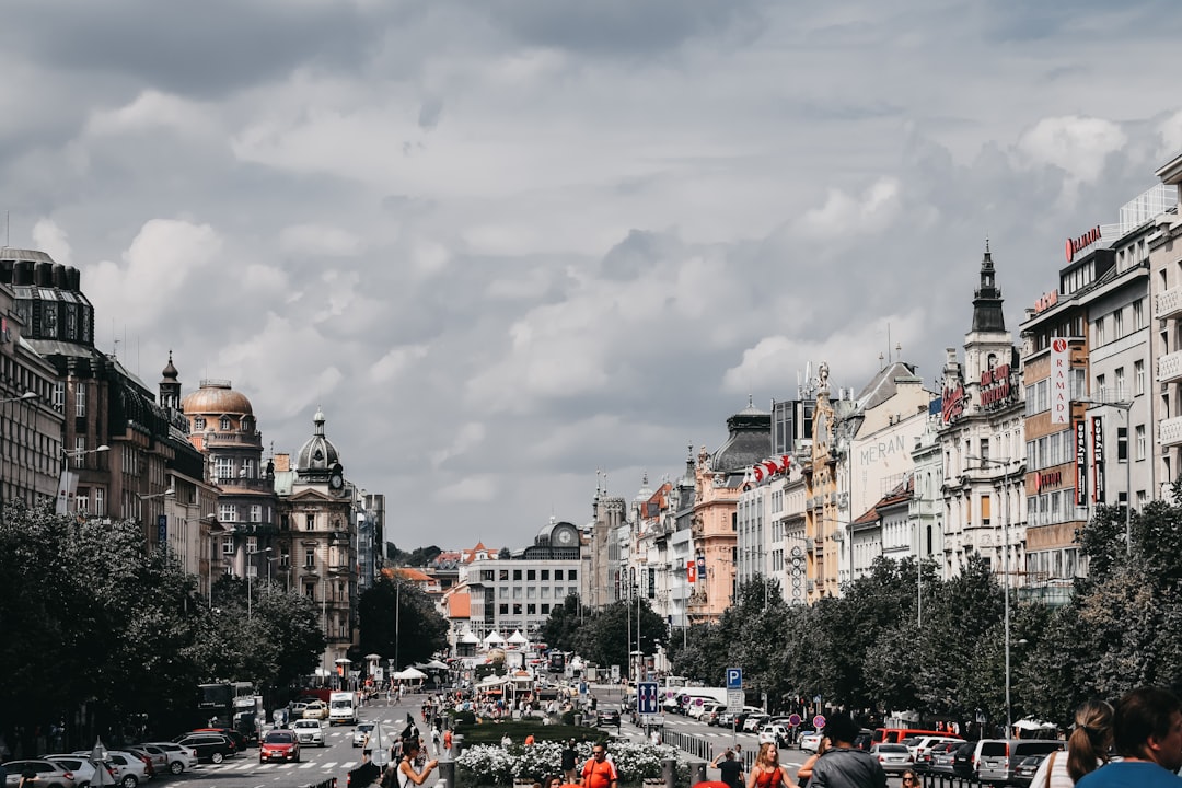 people near road viewing city with high-rise buildings during daytime