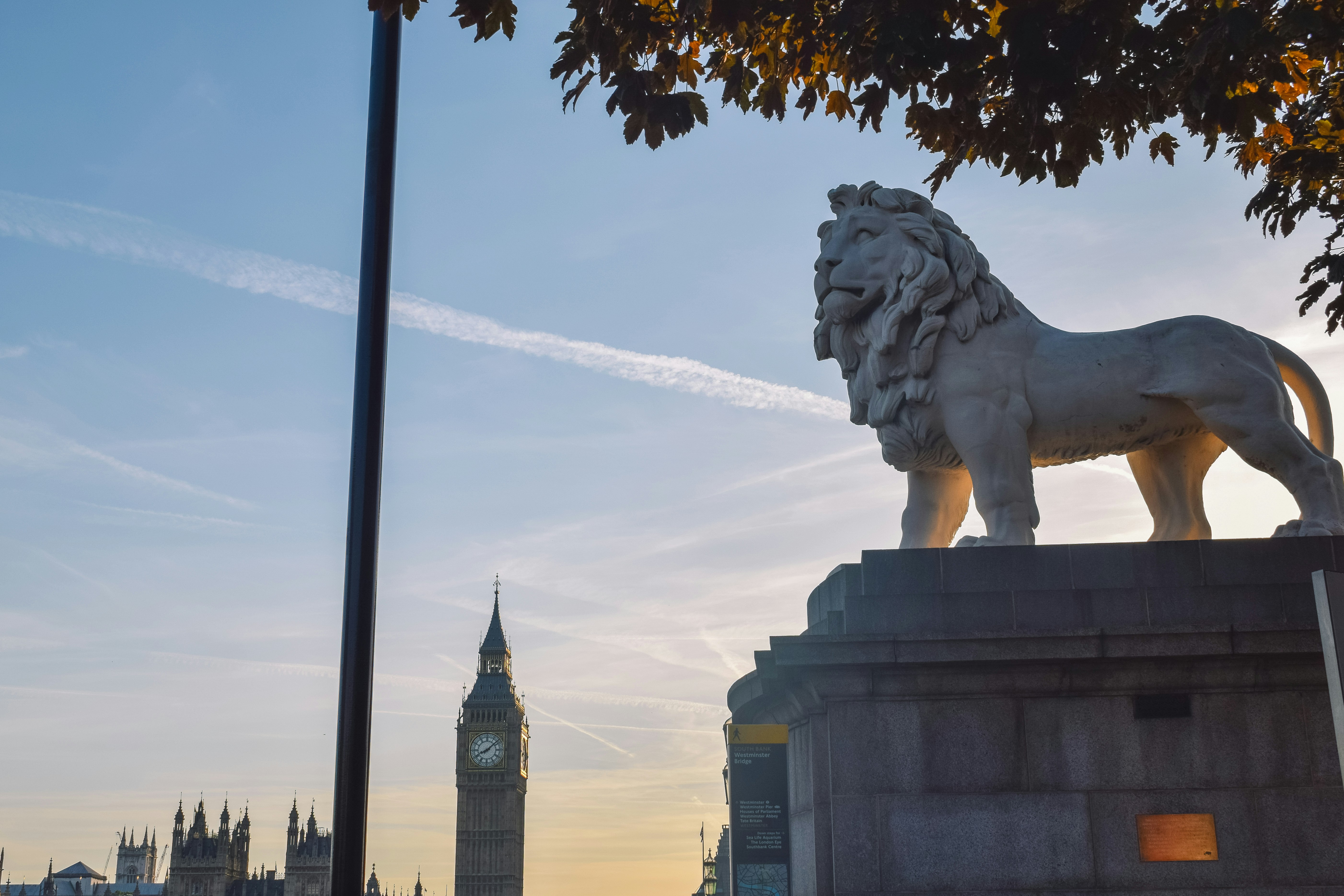 Photo by darya_tryfanava