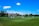 A group of people playing cricket on a large, well-maintained green field on a sunny day. The field is surrounded by a historic building and lush green trees. The clear blue sky is dotted with a few fluffy white clouds, adding to the serene atmosphere.