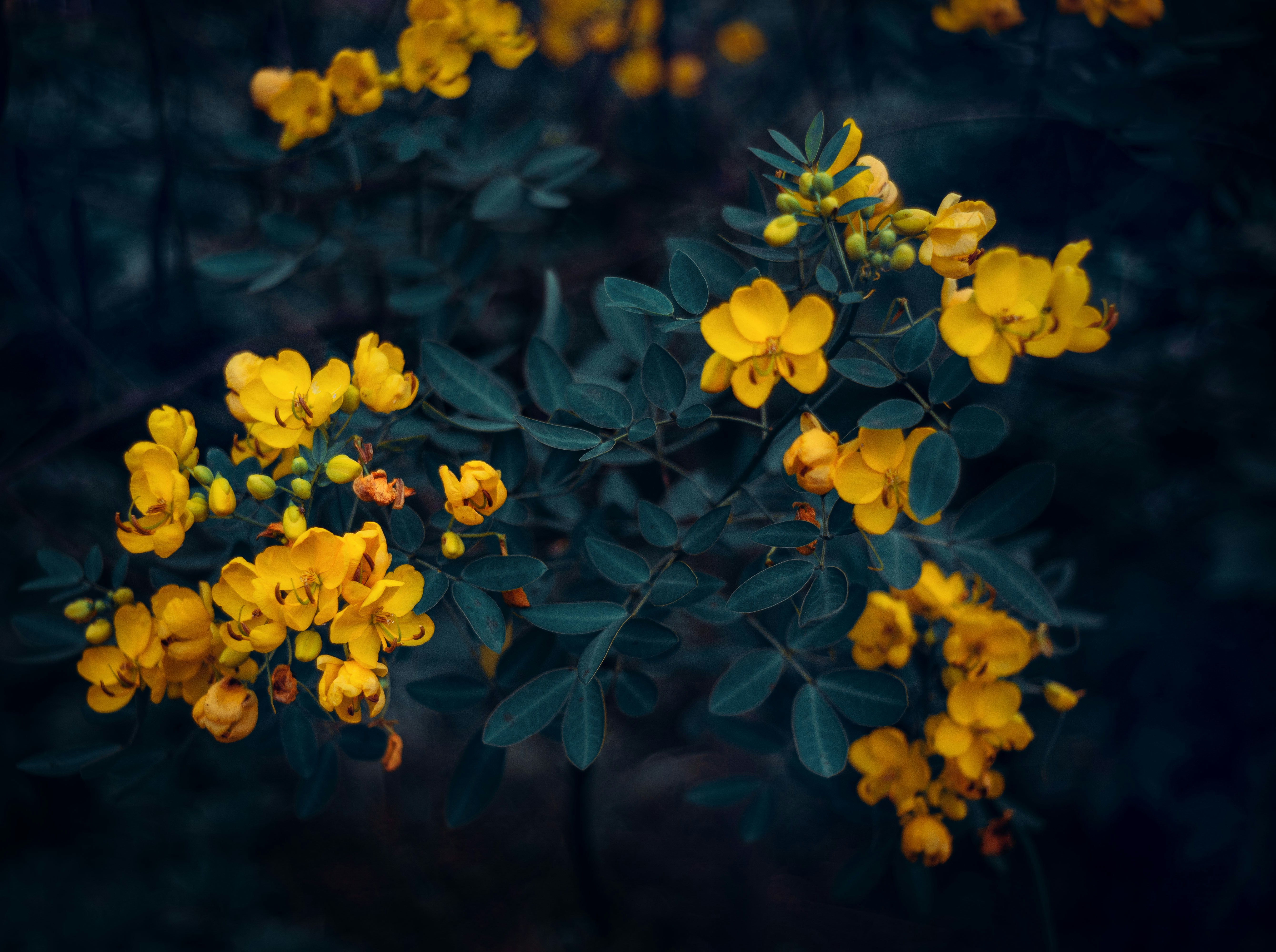 Photo by chengfengrecord