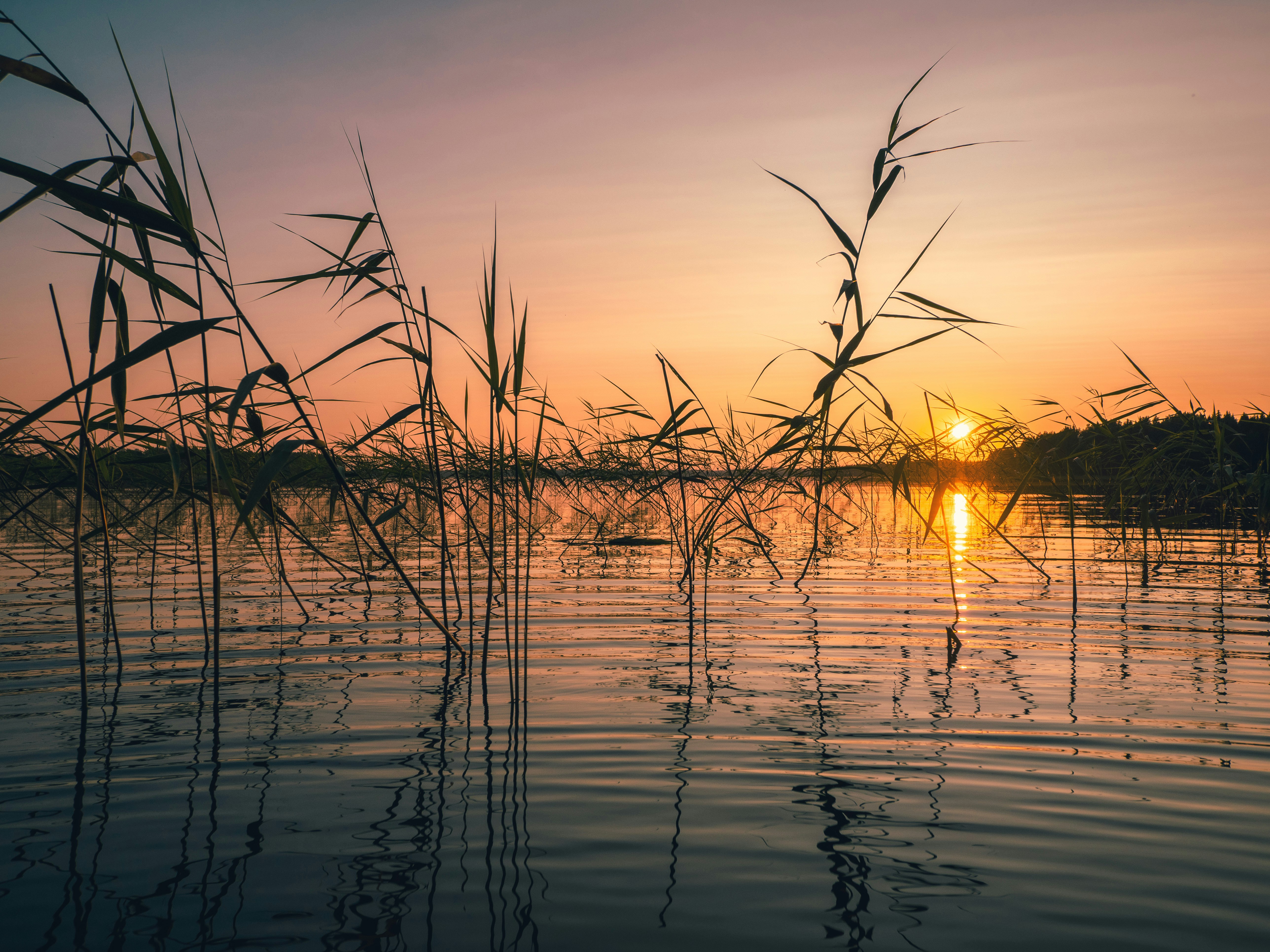 Loppukesän ja syksyn toimintaa