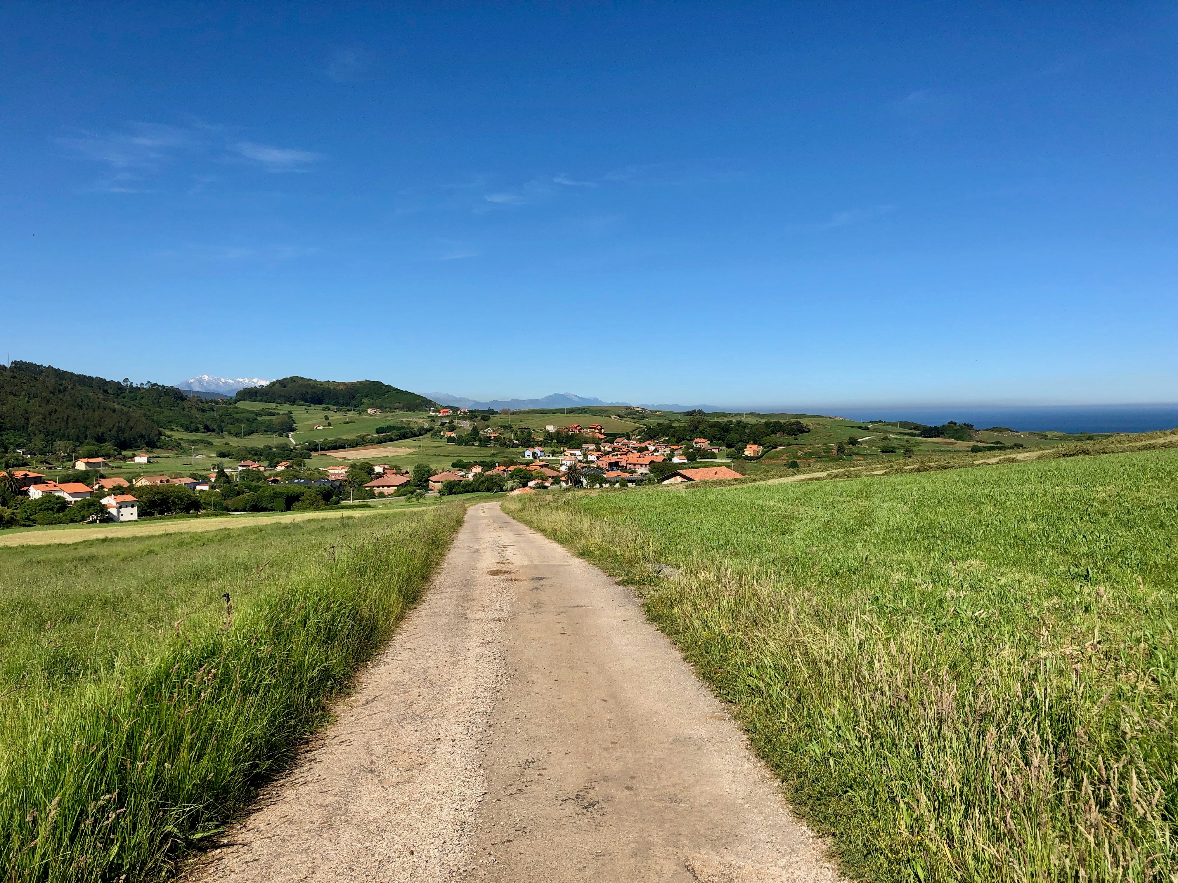 Campo de grama verde