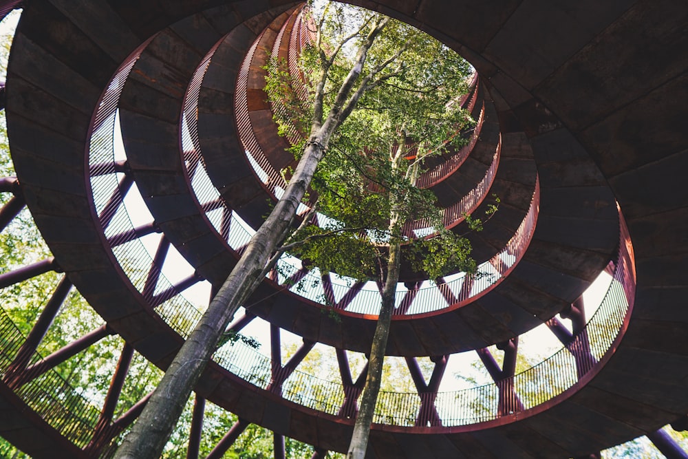 low angle photography of concrete building