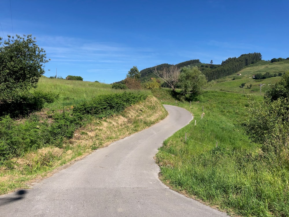 gray road between green plants during daytime