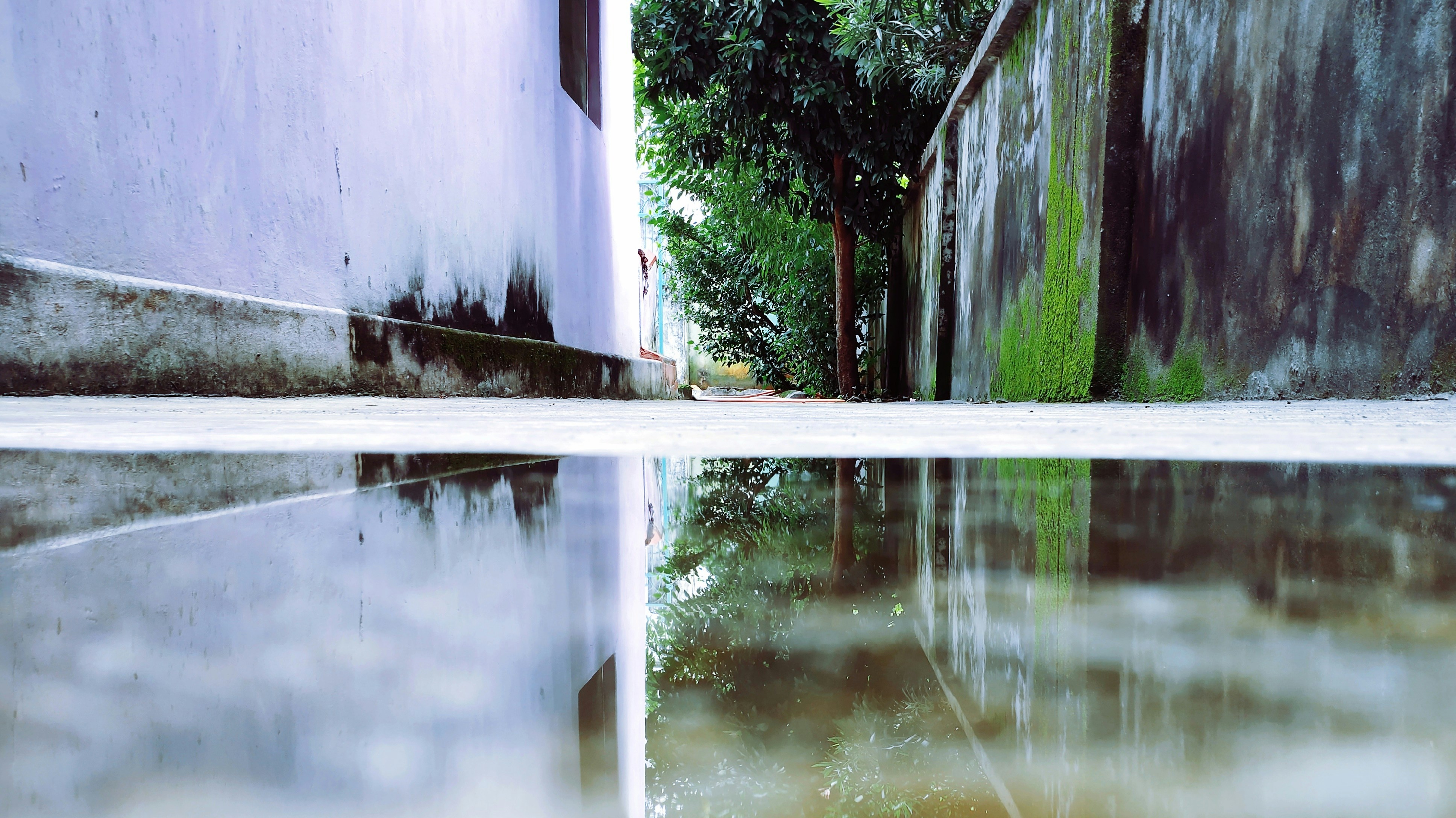 Photo by nareshnayak03