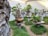 A serene garden display features multiple bonsai trees placed on raised platforms. The bonsais vary in size and shape, each in its own decorative pot, set against a backdrop of white walls and trimmed greenery that covers the ground. The scene is bordered on one side by a large, textured rock formation.