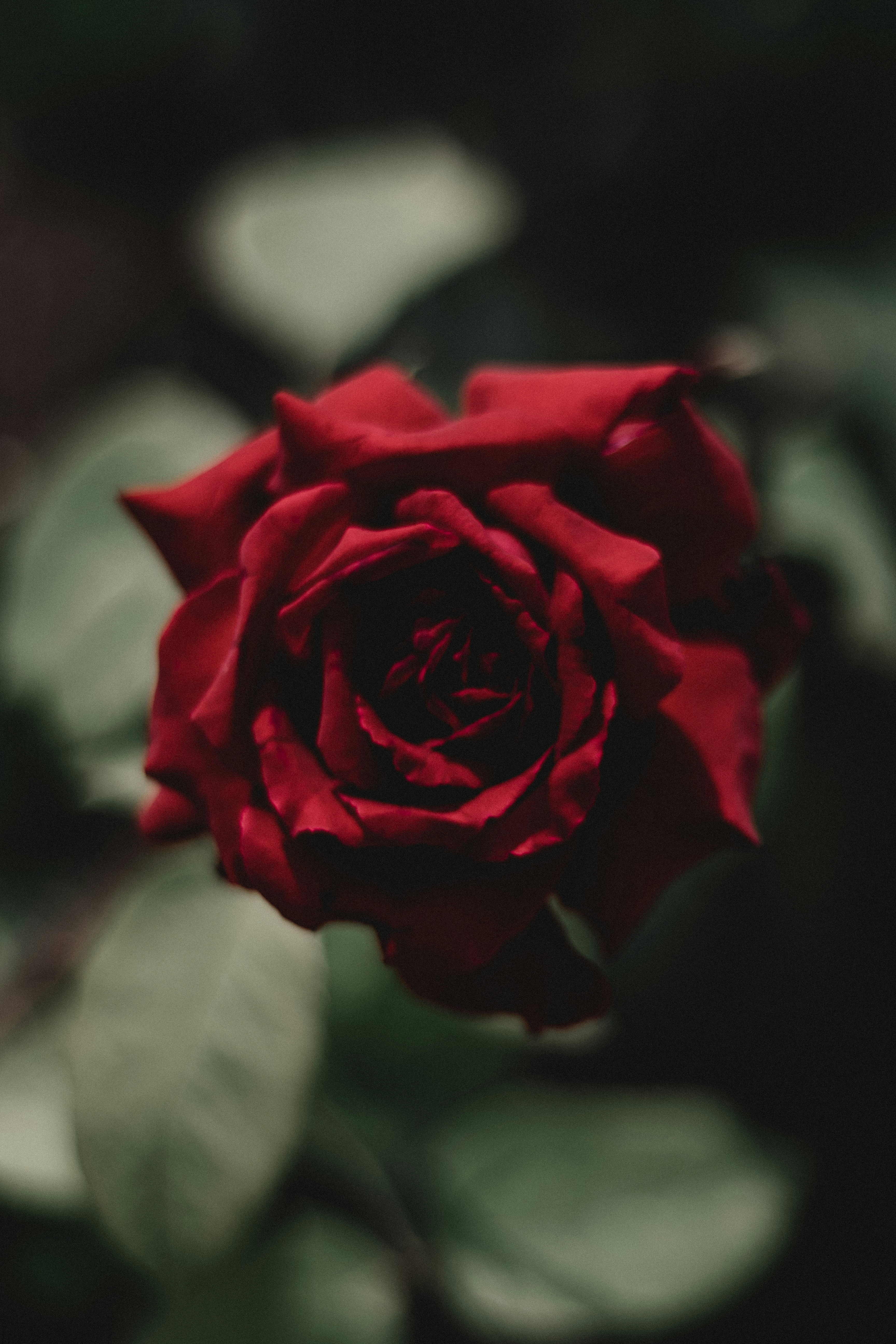 Photo by simonweisser