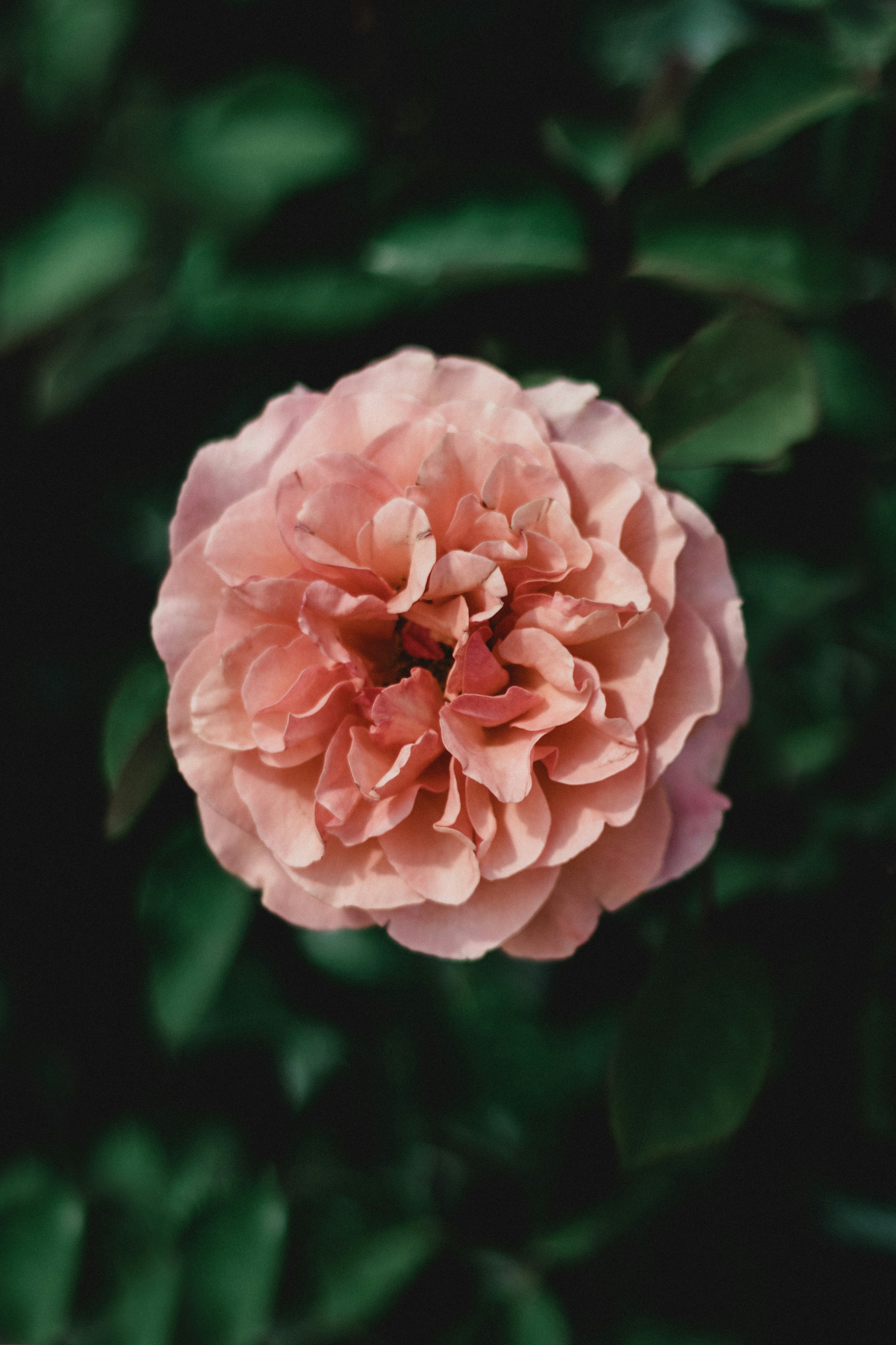 Photo by simonweisser