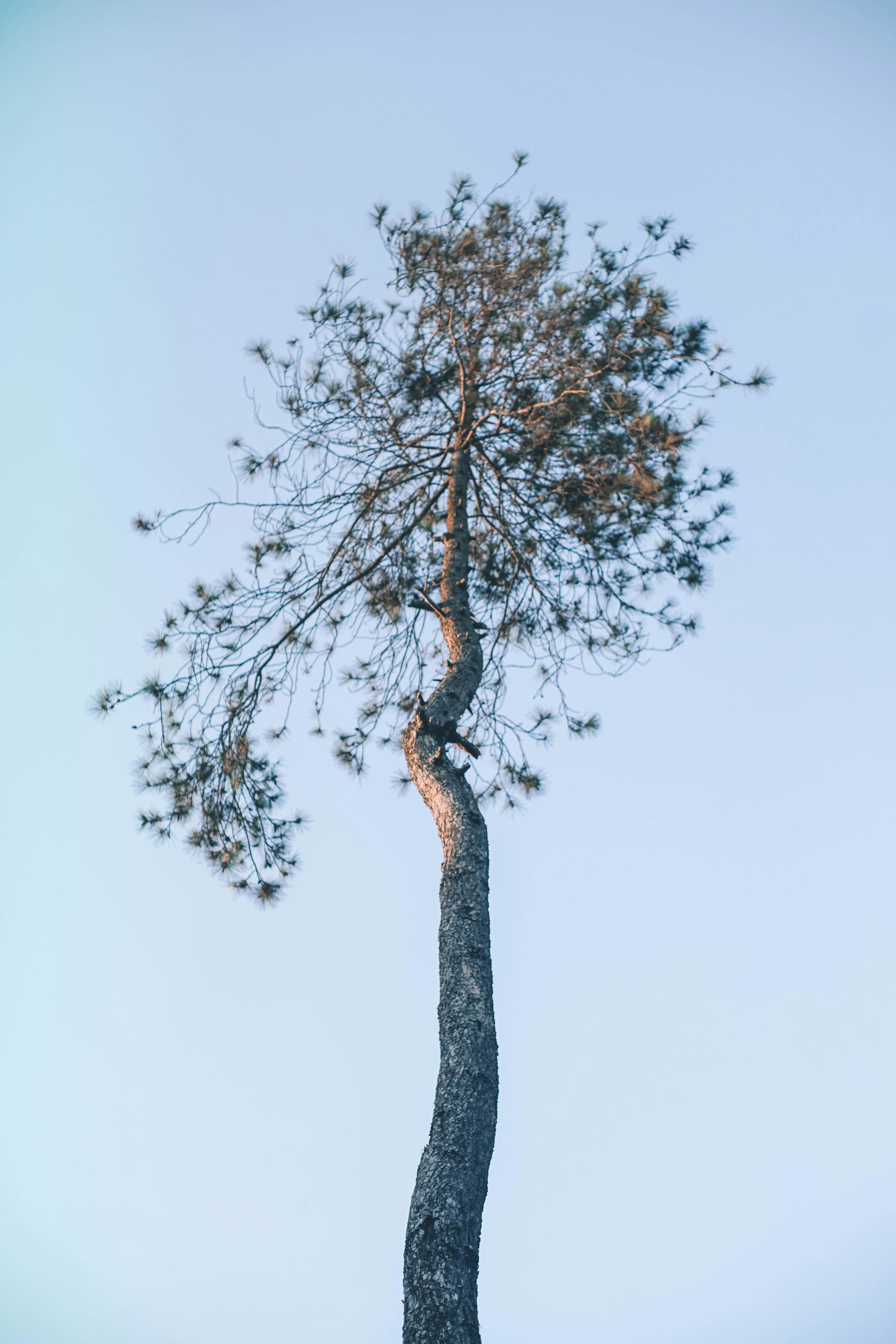 Photo by venwardoo